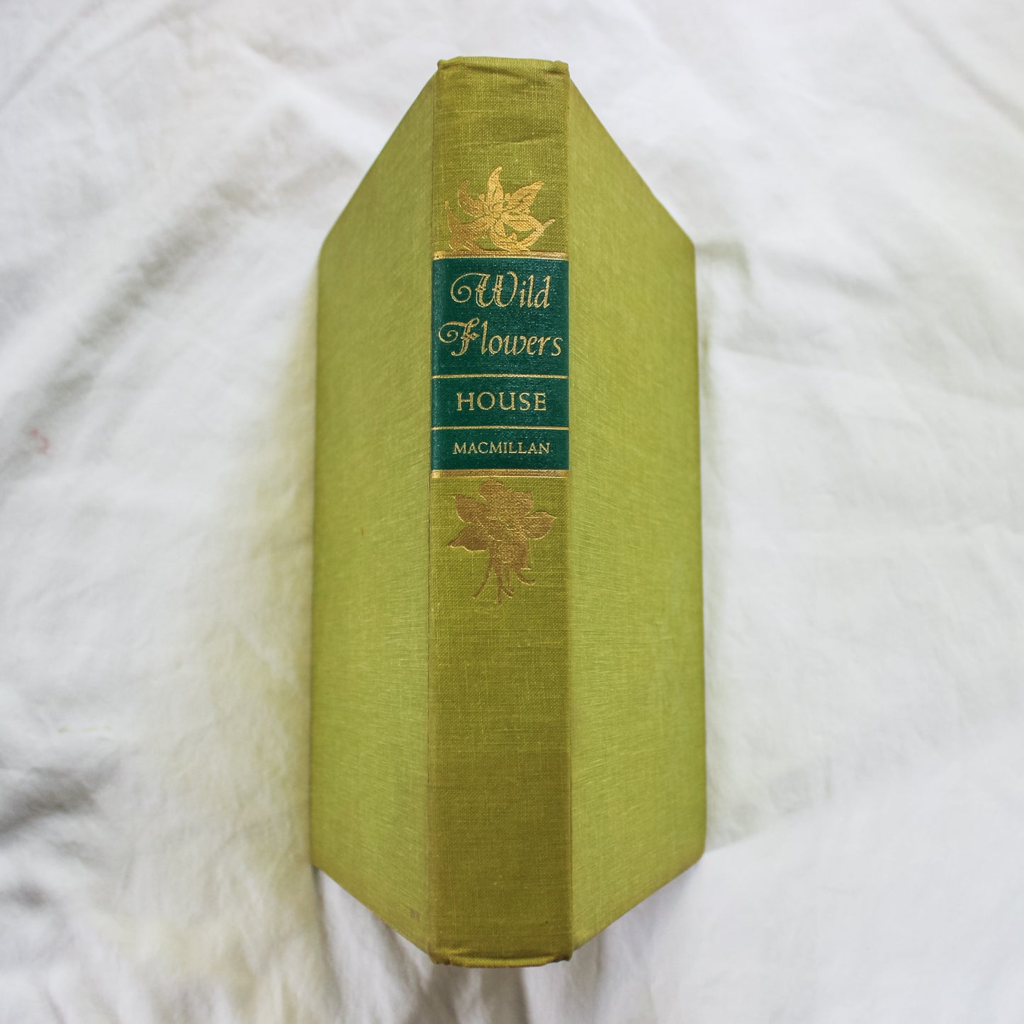 Wild Flowers: Coffee Table Book/ Art to be Framed