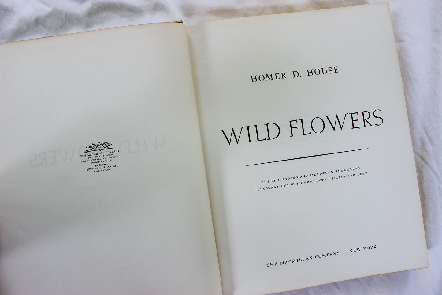 Wild Flowers: Coffee Table Book/ Art to be Framed