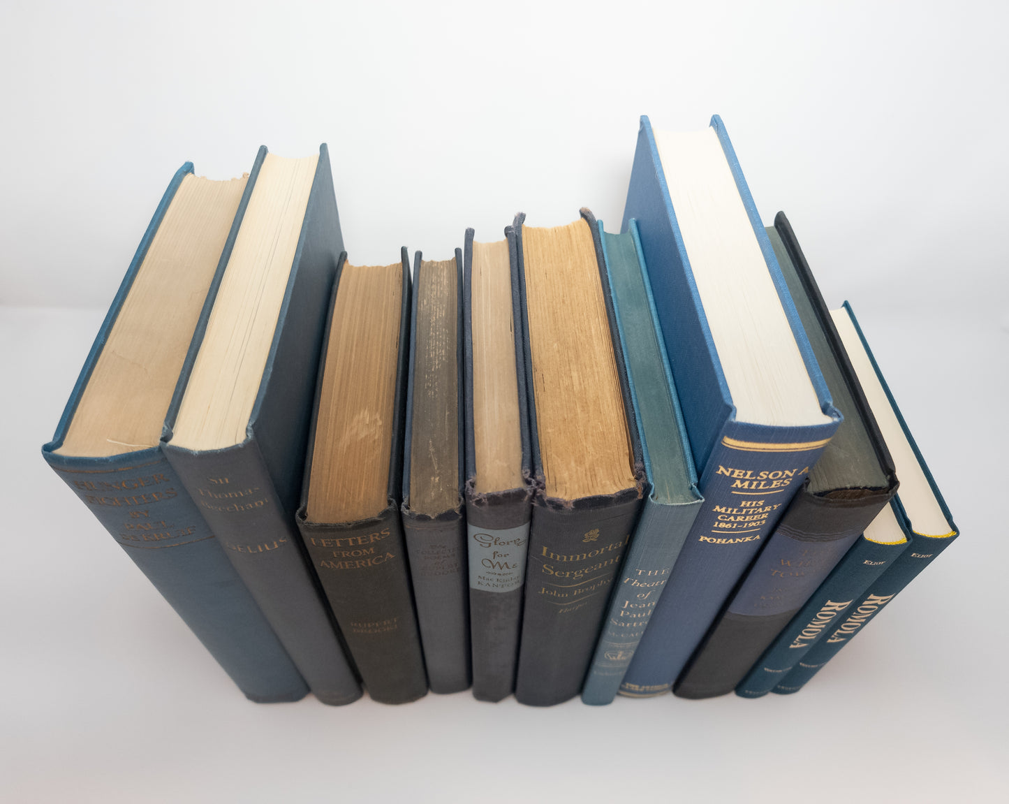 Assorted Vintage Blues (Set of 11)