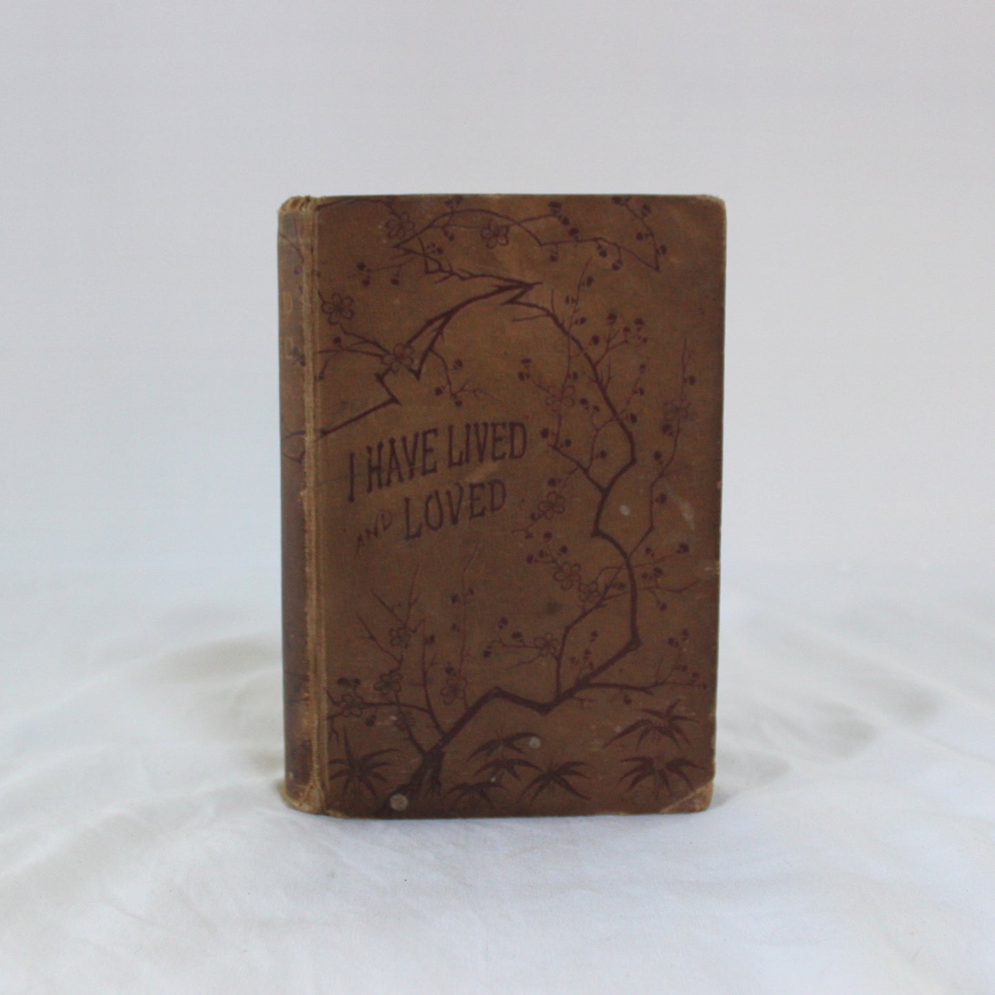 Antique Browns (Set of 3)