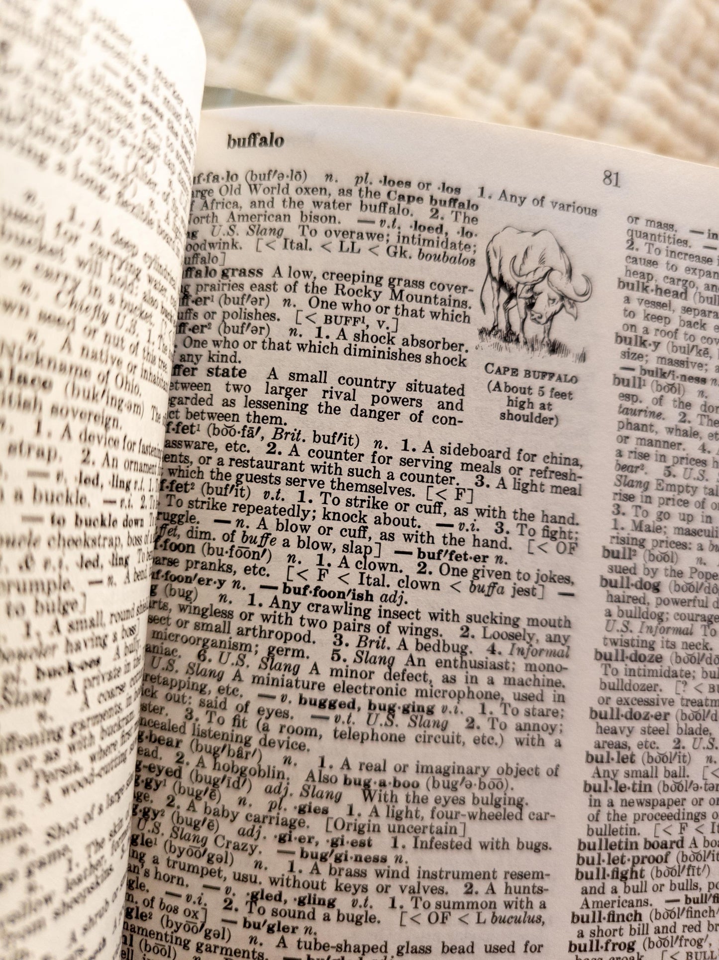 1980 Funk and Wagnalls Standard Desk Dictionary