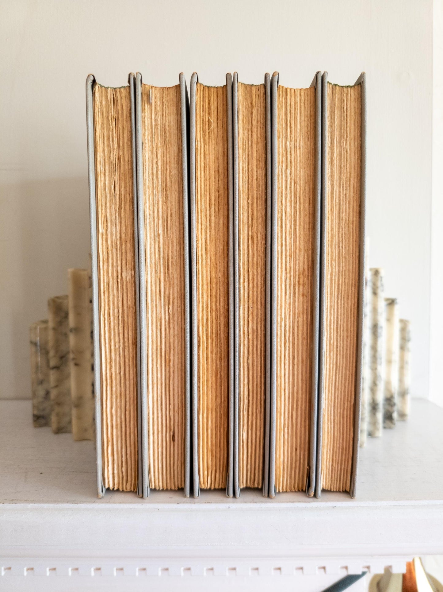 Junior Deluxe Library (Set of 6)