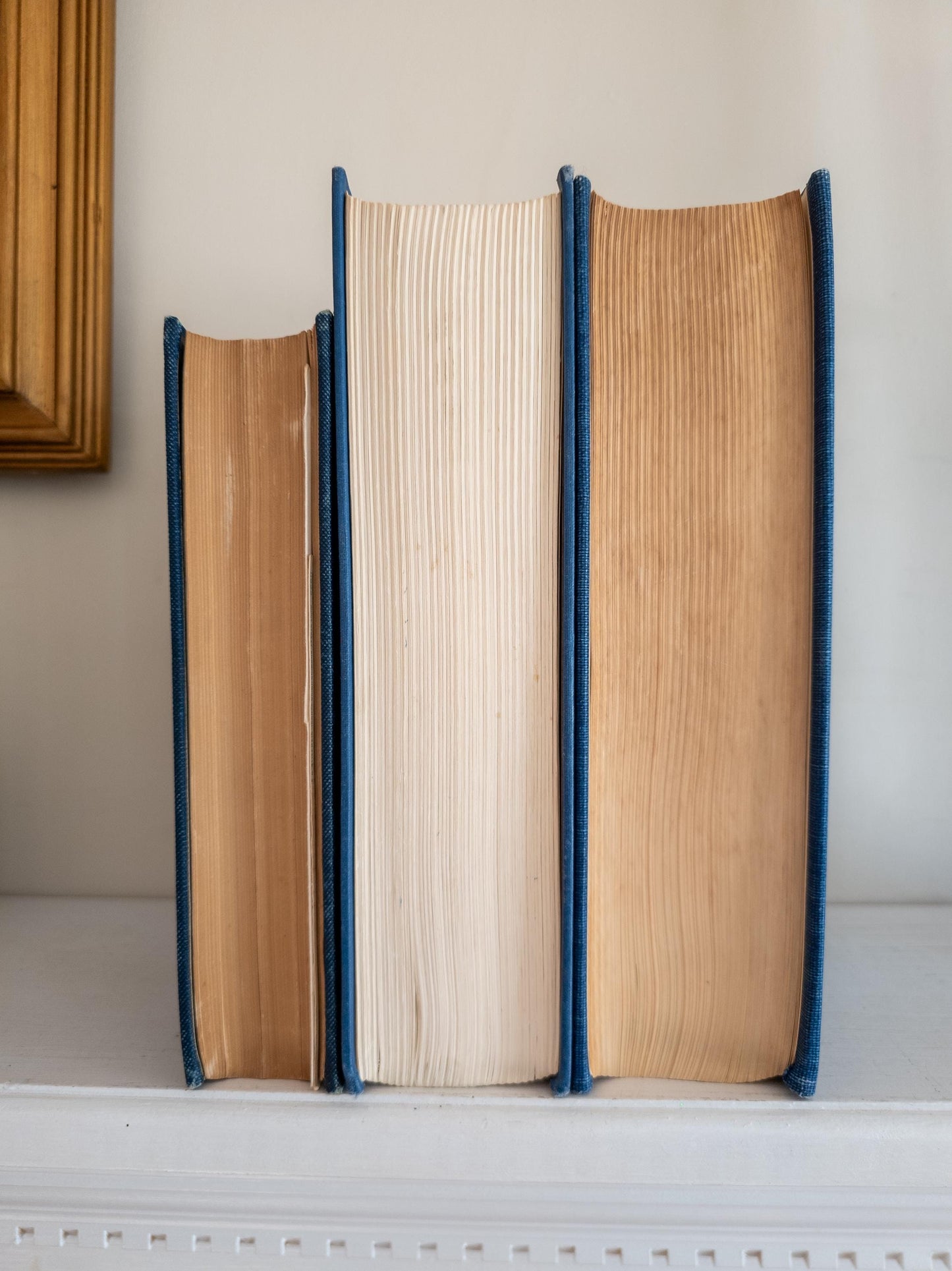 Blue vintage book stack - set of 3