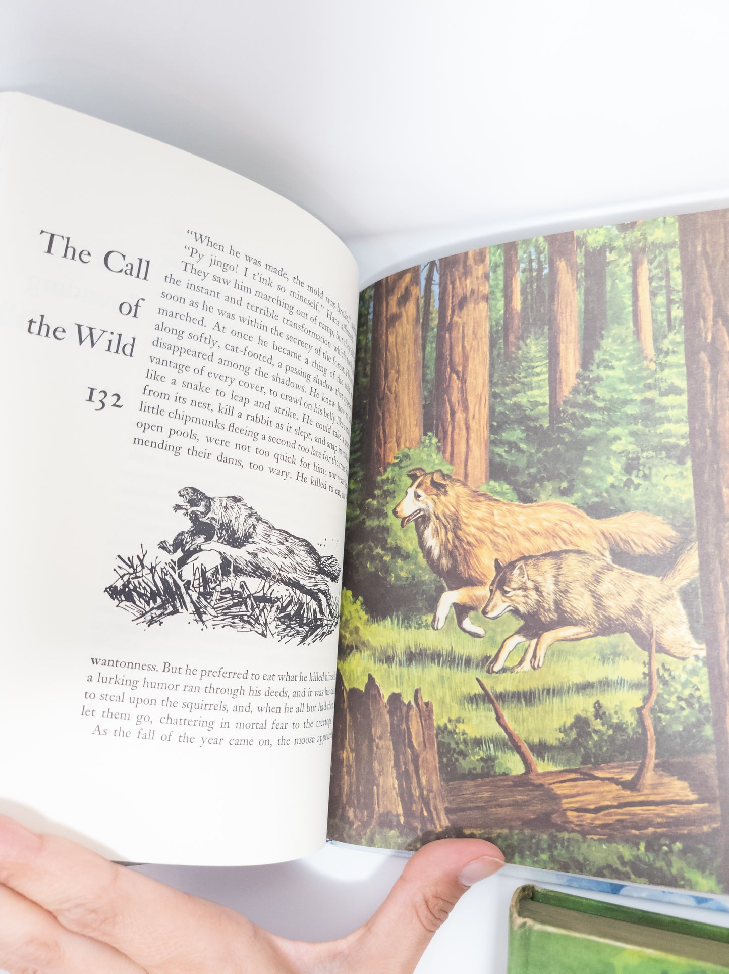 Classic Children's Novels- Illustrated Junior Library Editions- Grosset & Dunlap 1990s (Set of 5)