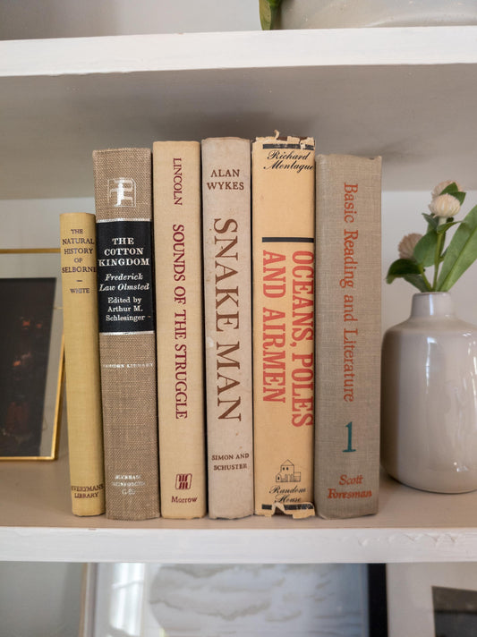 Tan & Brown Bookshelf Decor (Set of 6)