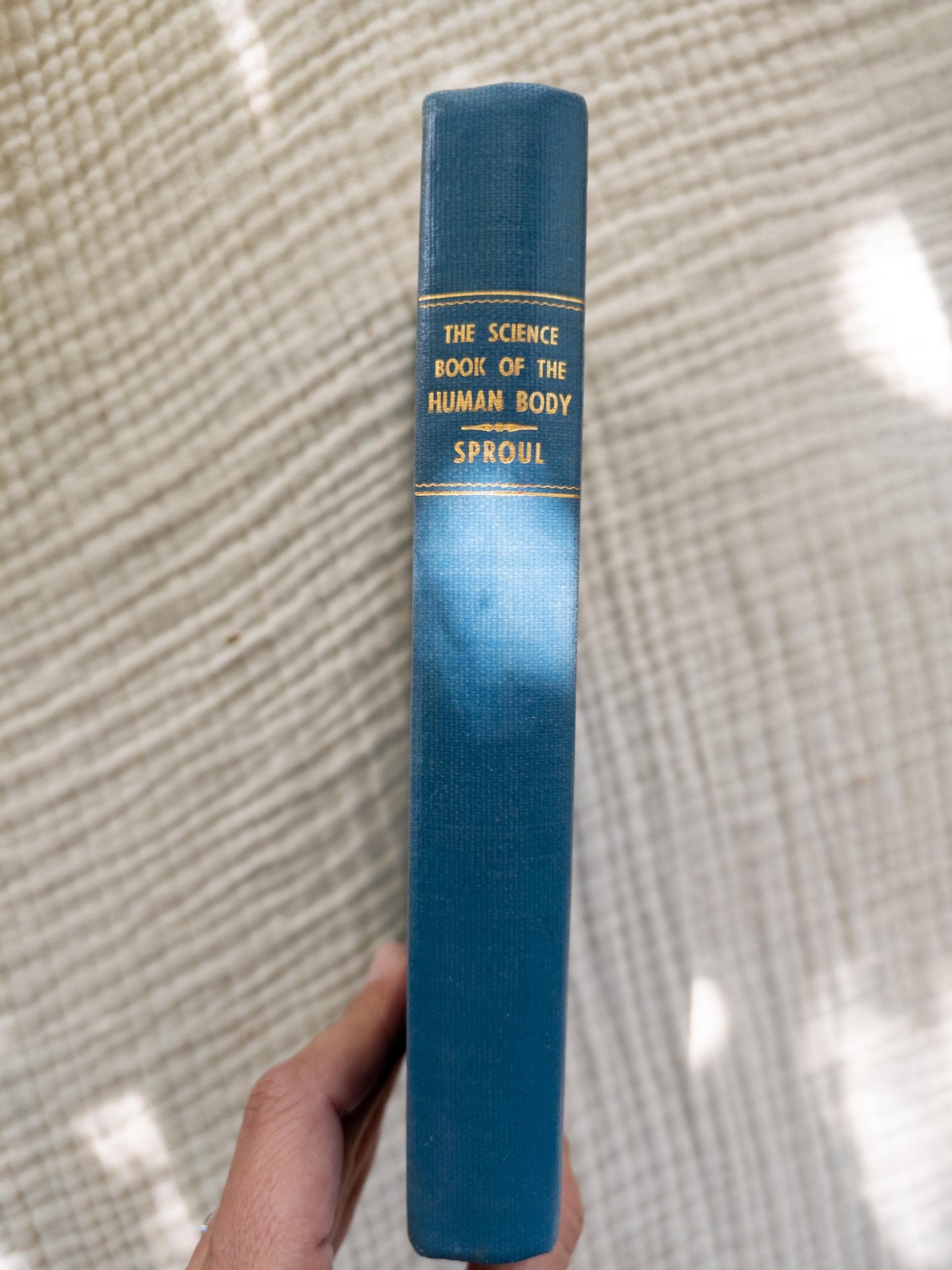 The Human Body 1955 | Vintage science book with medical illustrations