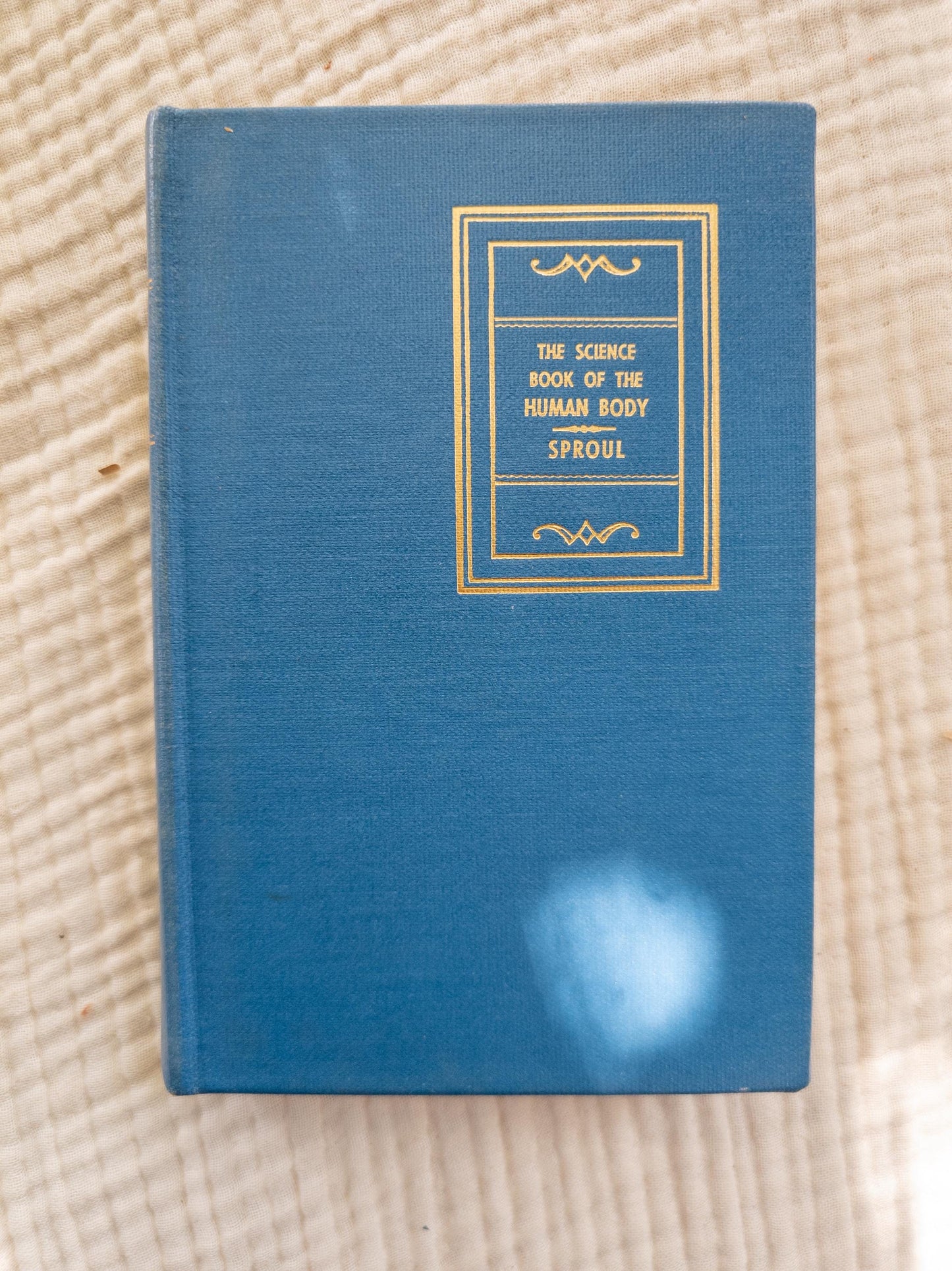The Human Body 1955 | Vintage science book with medical illustrations