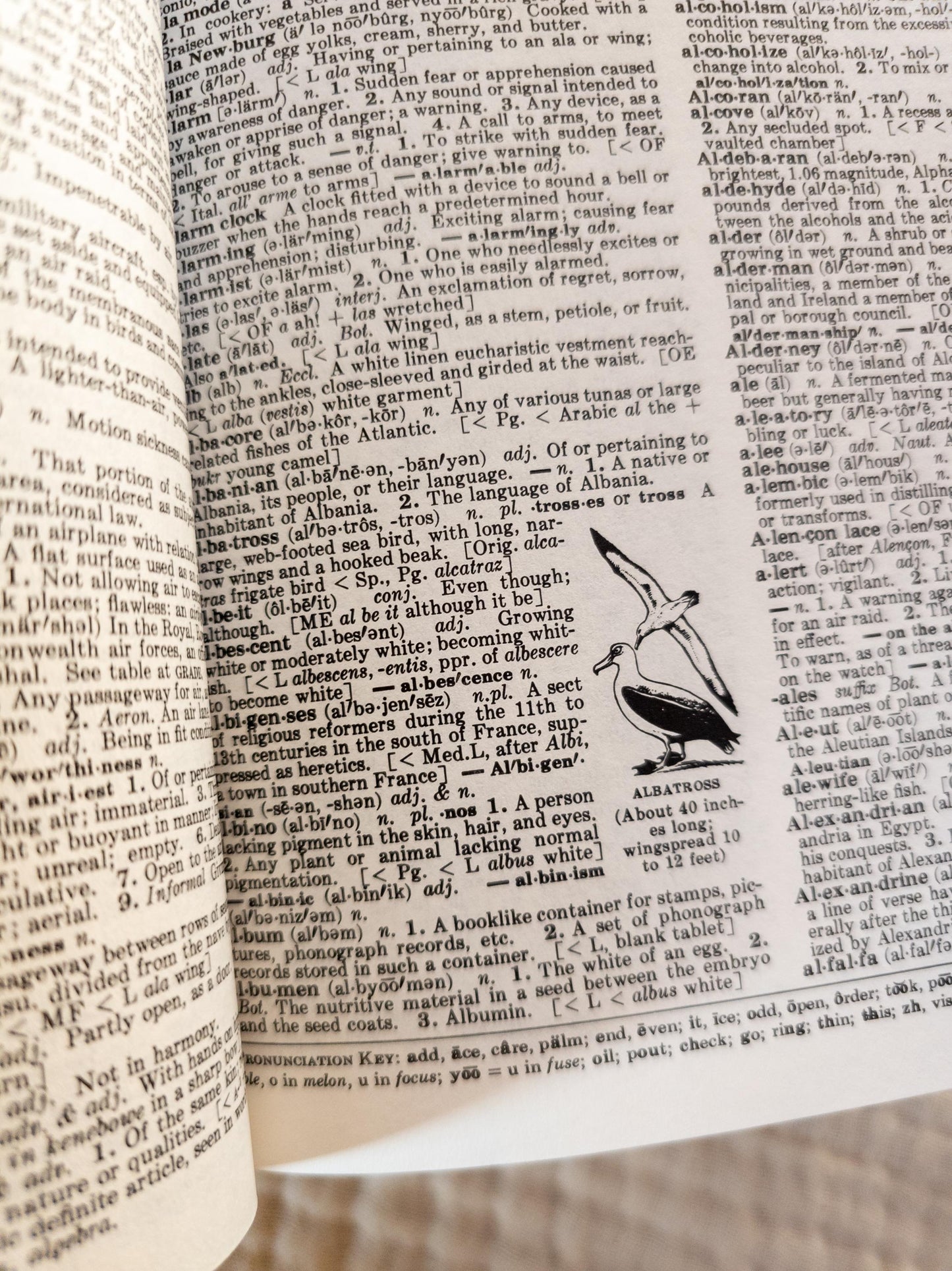 1980 Funk and Wagnalls Standard Desk Dictionary
