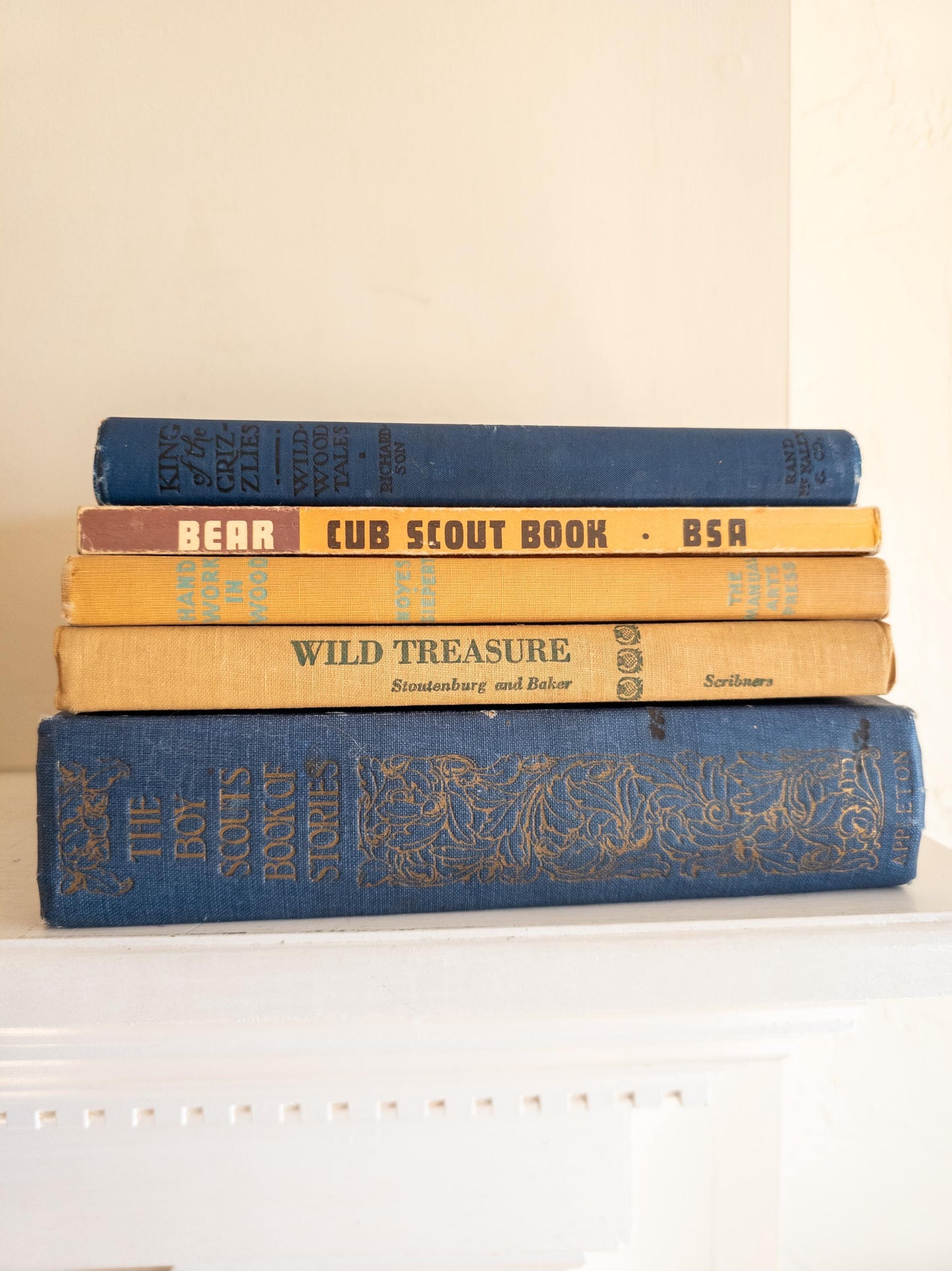 Vintage Blue Children's Book Bundle - outdoors, scout themed
