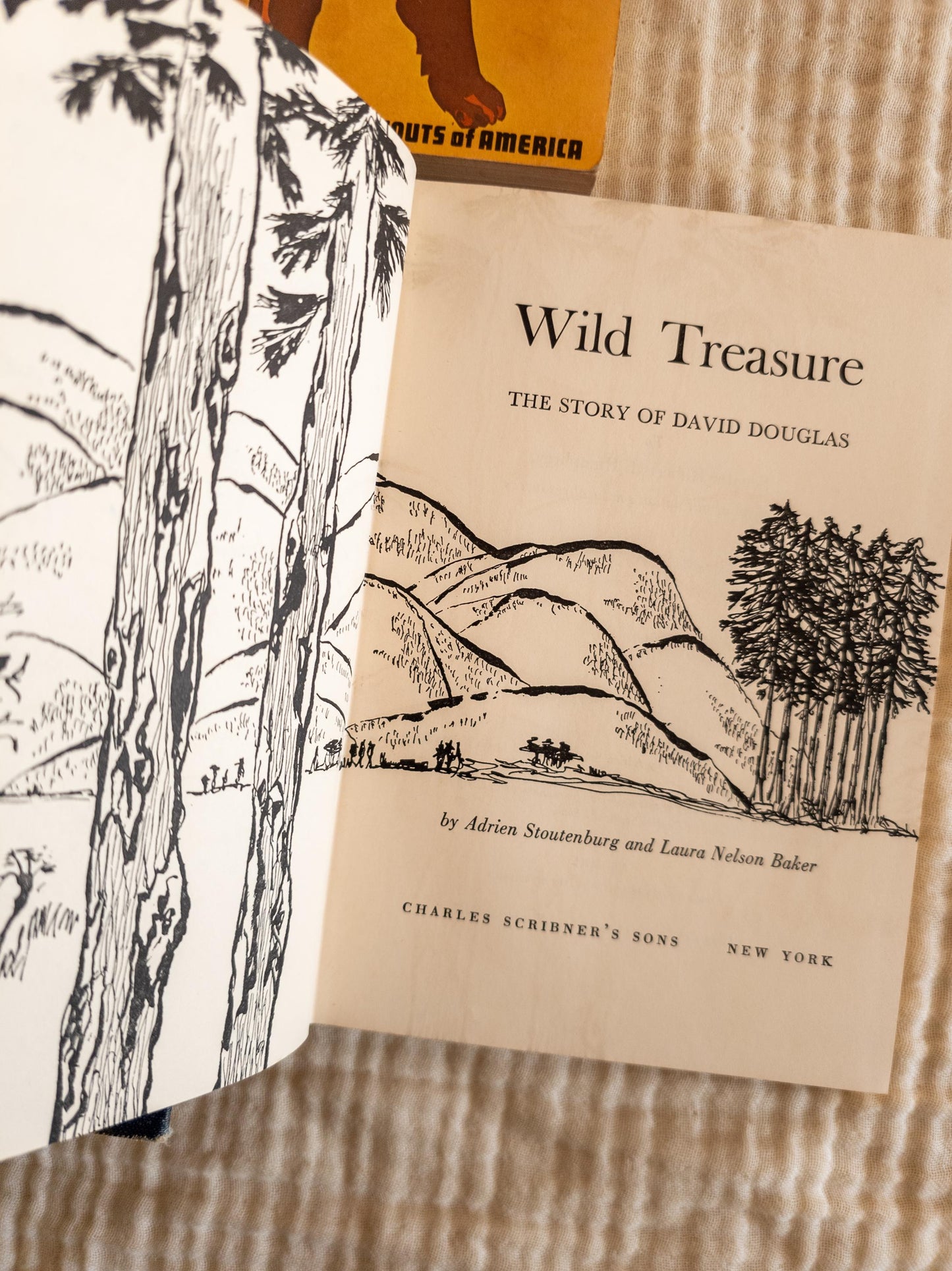 Vintage Blue Children's Book Bundle - outdoors, scout themed