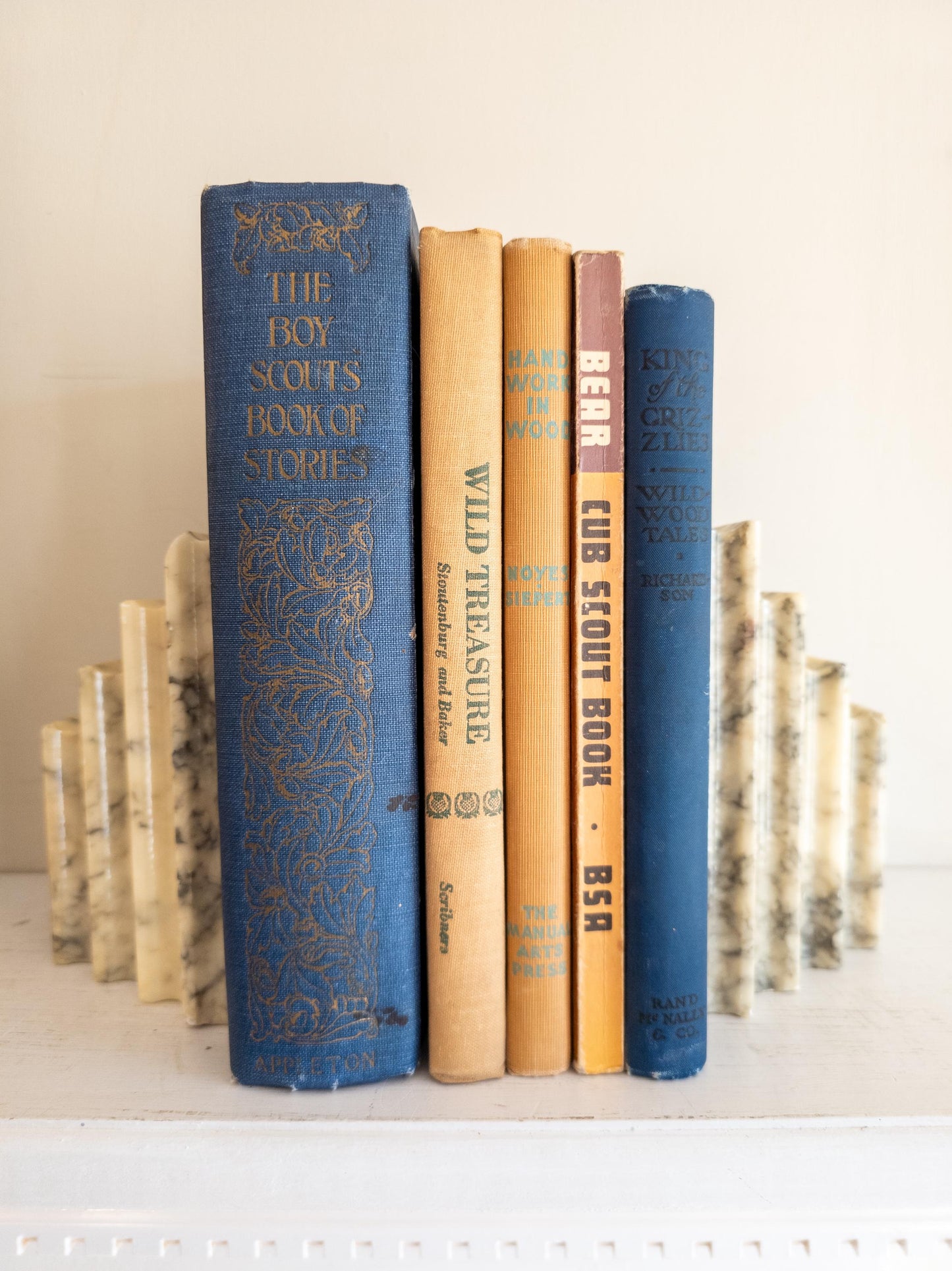 Vintage Blue Children's Book Bundle - outdoors, scout themed