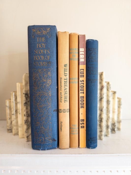 Vintage Blue Children's Book Bundle - outdoors, scout themed
