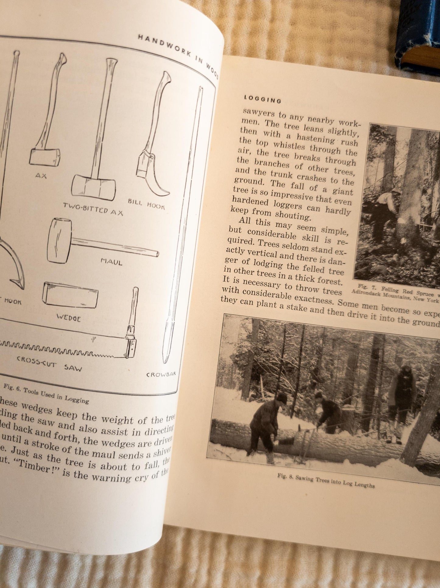Vintage Blue Children's Book Bundle - outdoors, scout themed