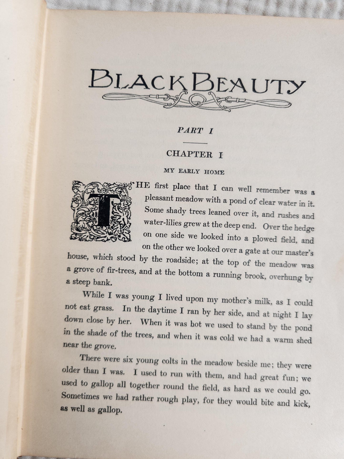 Black Beauty by Anna Sewell - vintage children's classic book