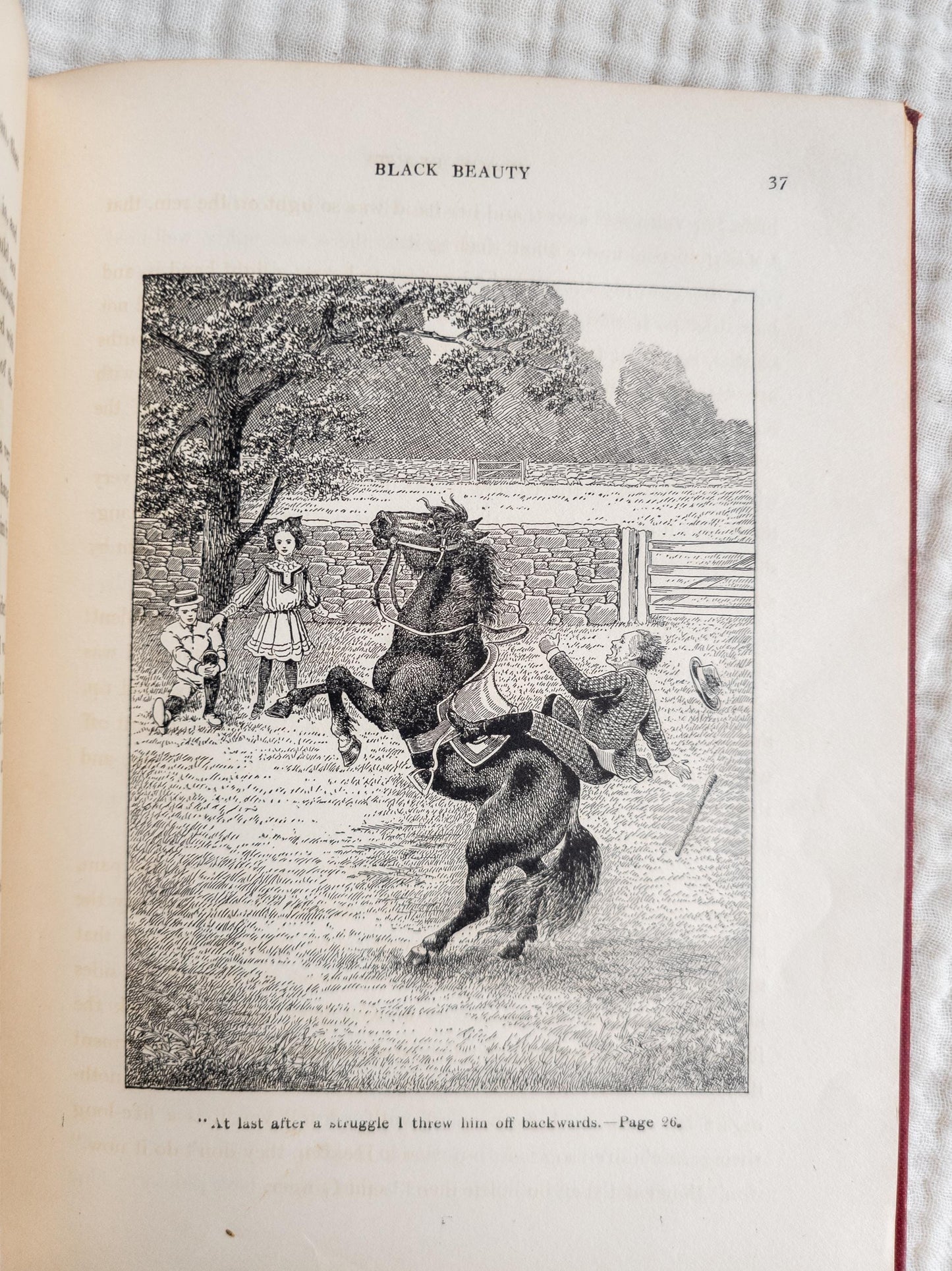 Black Beauty by Anna Sewell - vintage children's classic book