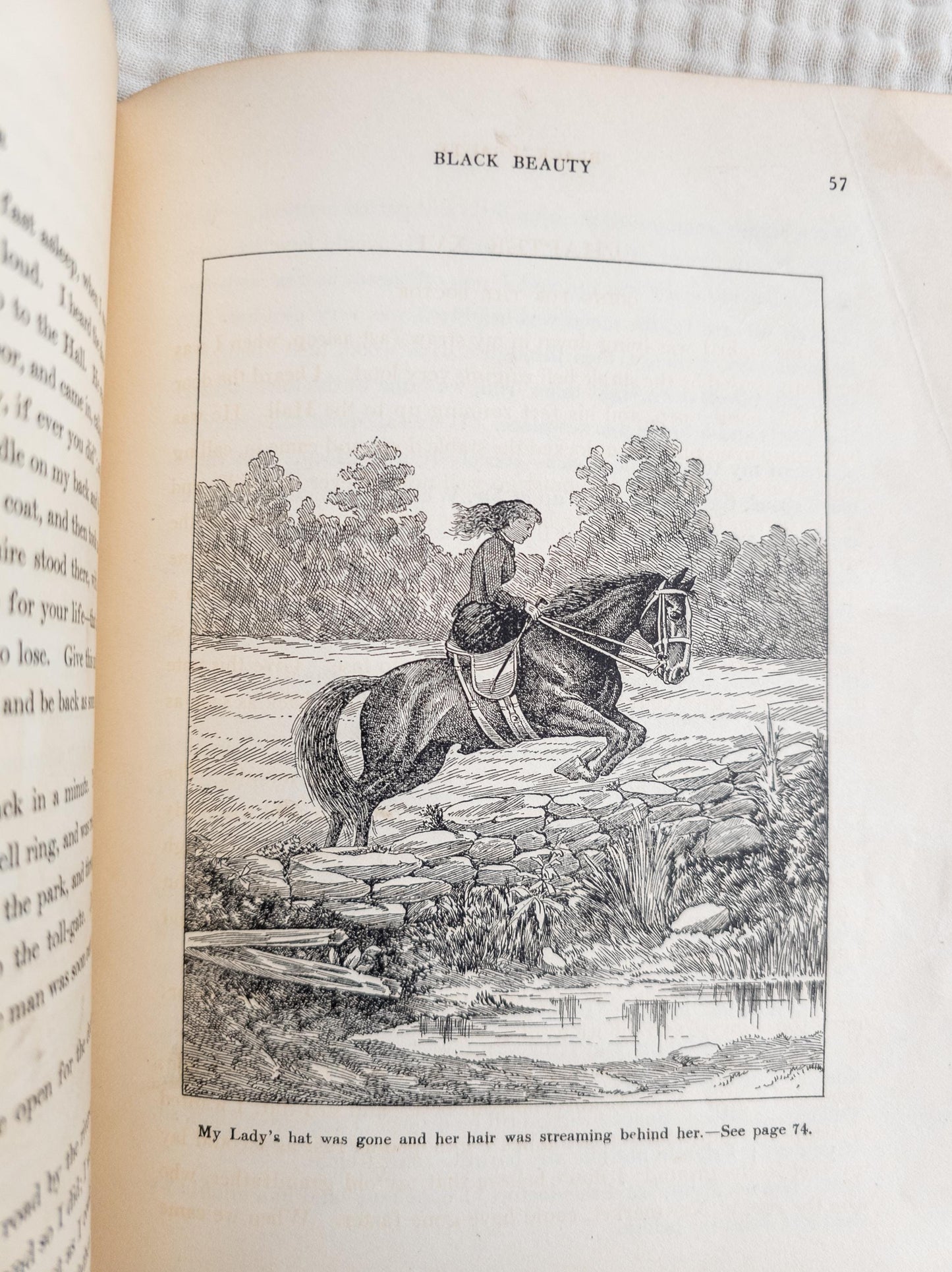 Black Beauty by Anna Sewell - vintage children's classic book