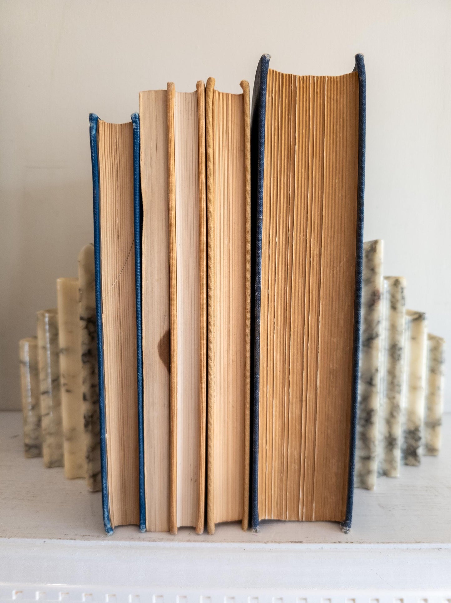 Vintage Blue Children's Book Bundle - outdoors, scout themed