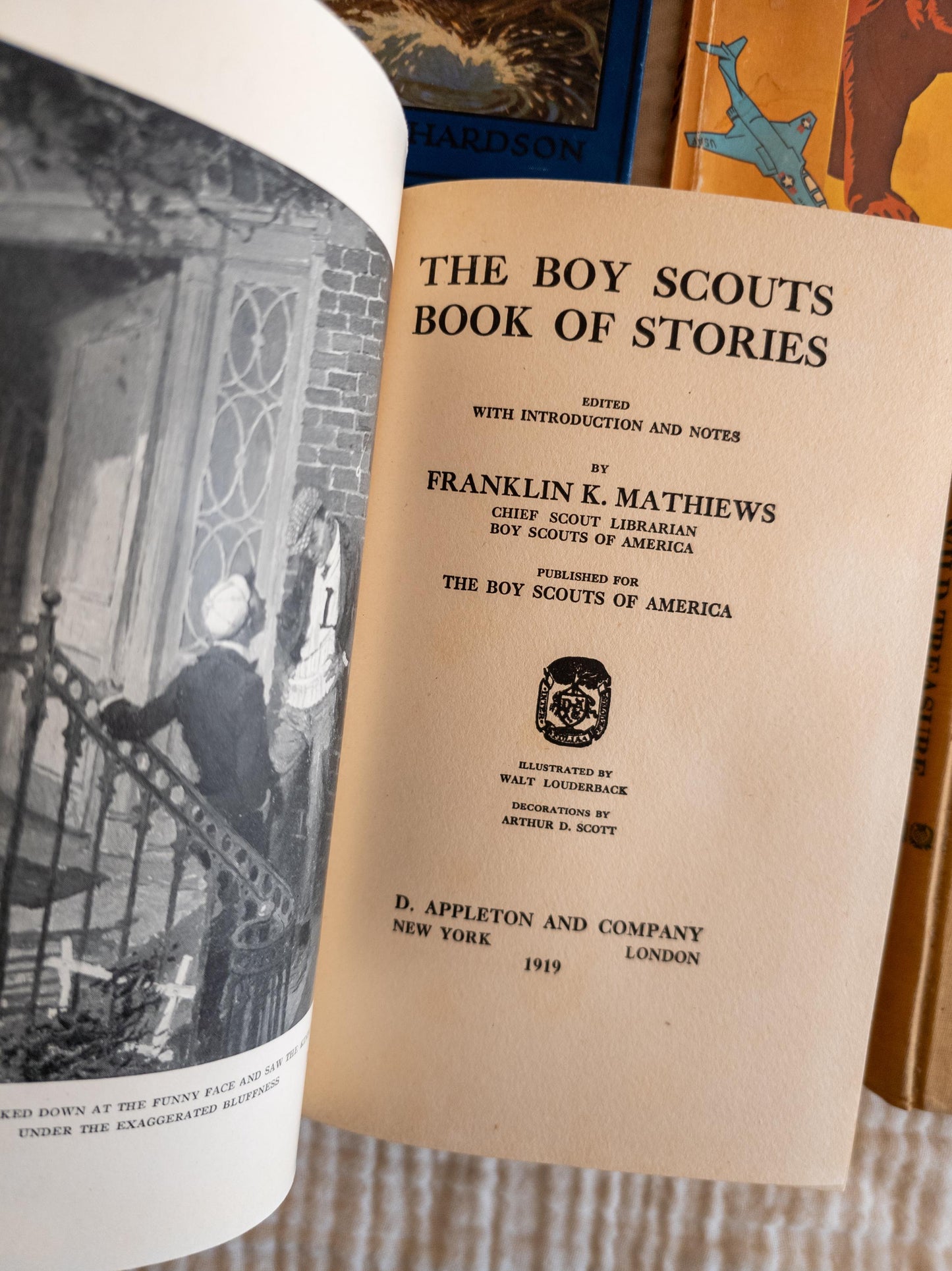 Vintage Blue Children's Book Bundle - outdoors, scout themed