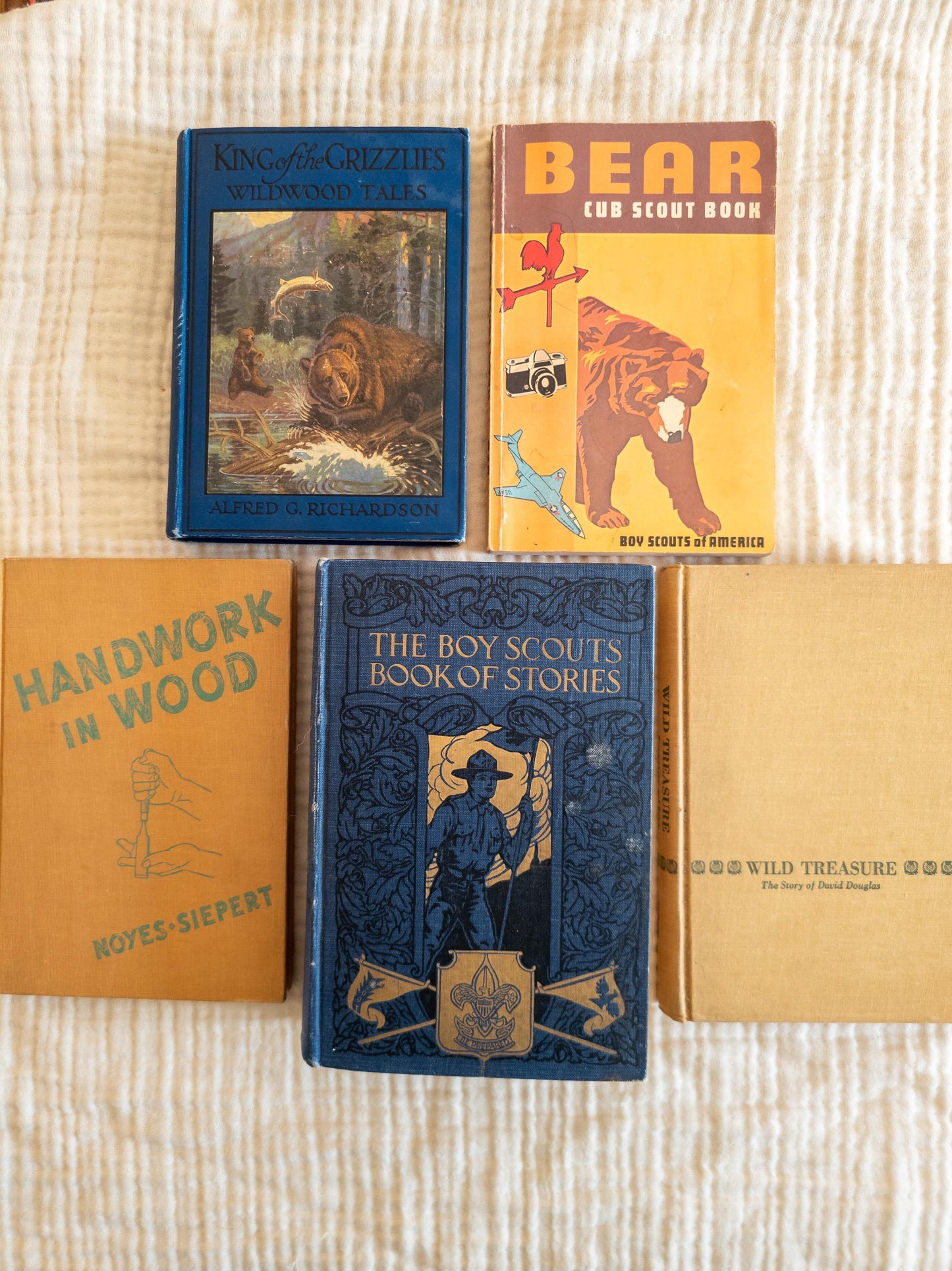 Vintage Blue Children's Book Bundle - outdoors, scout themed