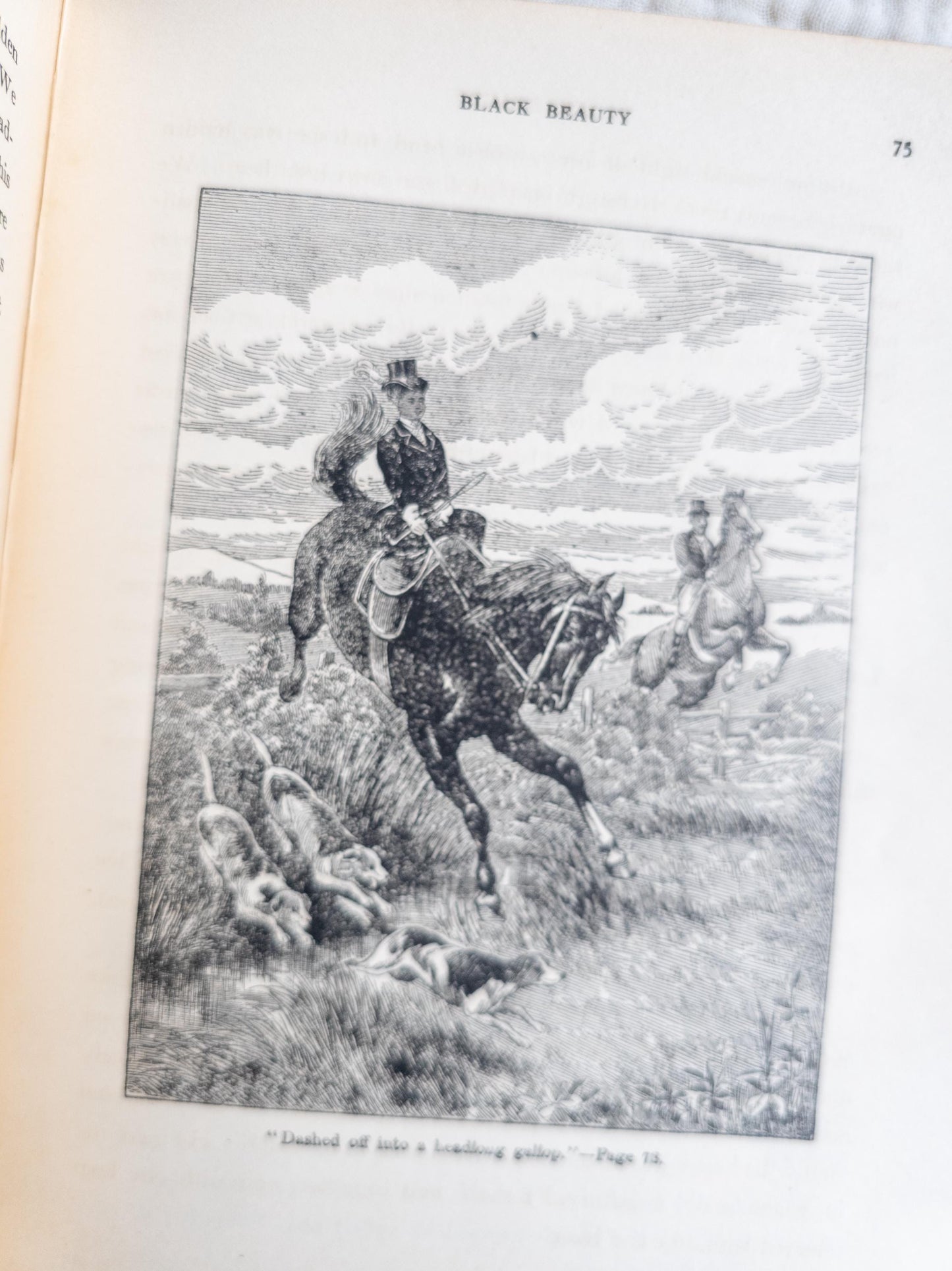 Black Beauty by Anna Sewell - vintage children's classic book