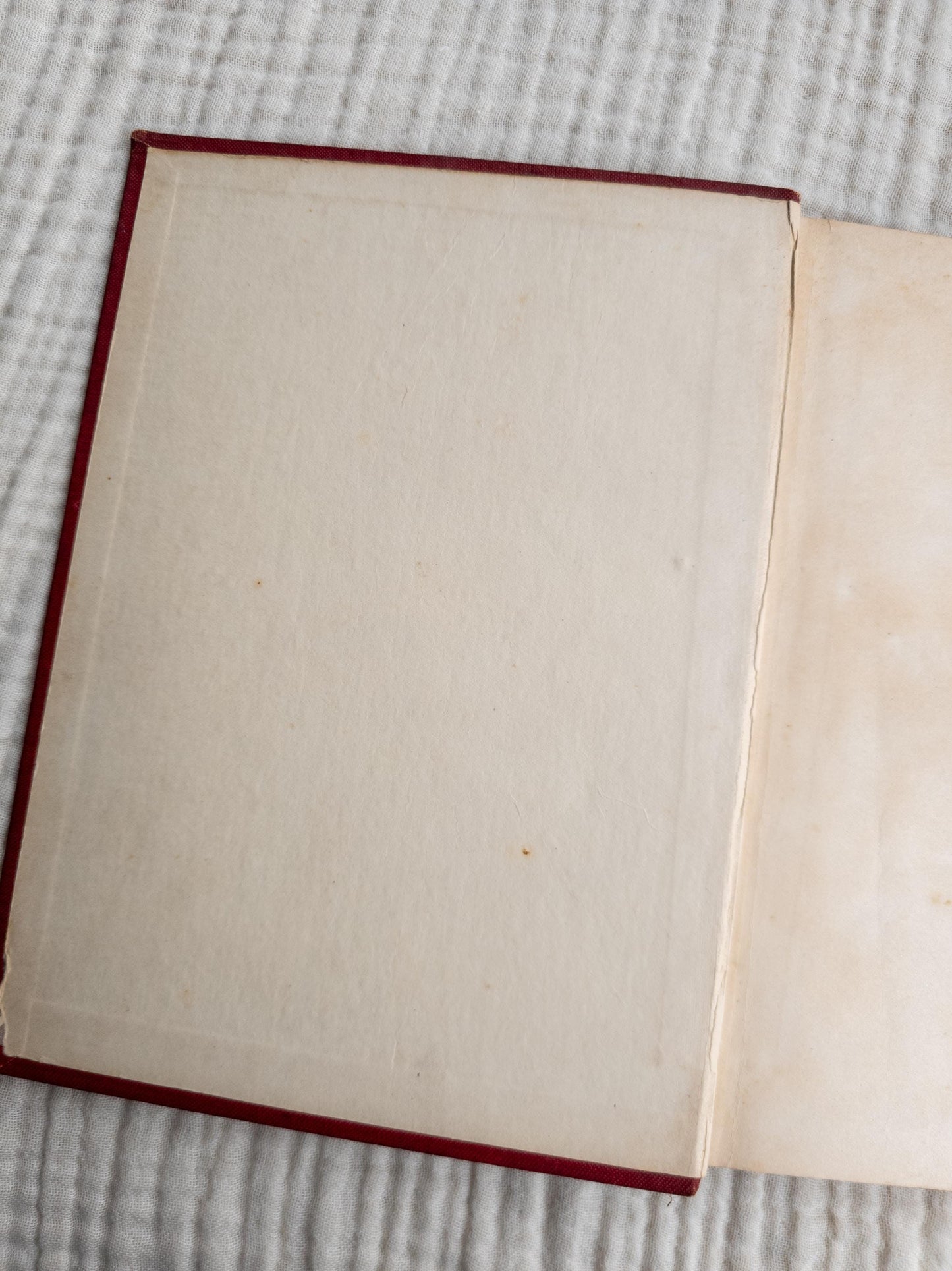 Black Beauty by Anna Sewell - vintage children's classic book