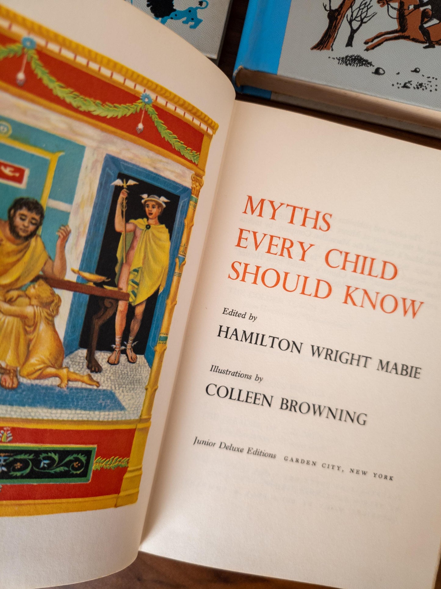 Junior Deluxe Library (Set of 6)