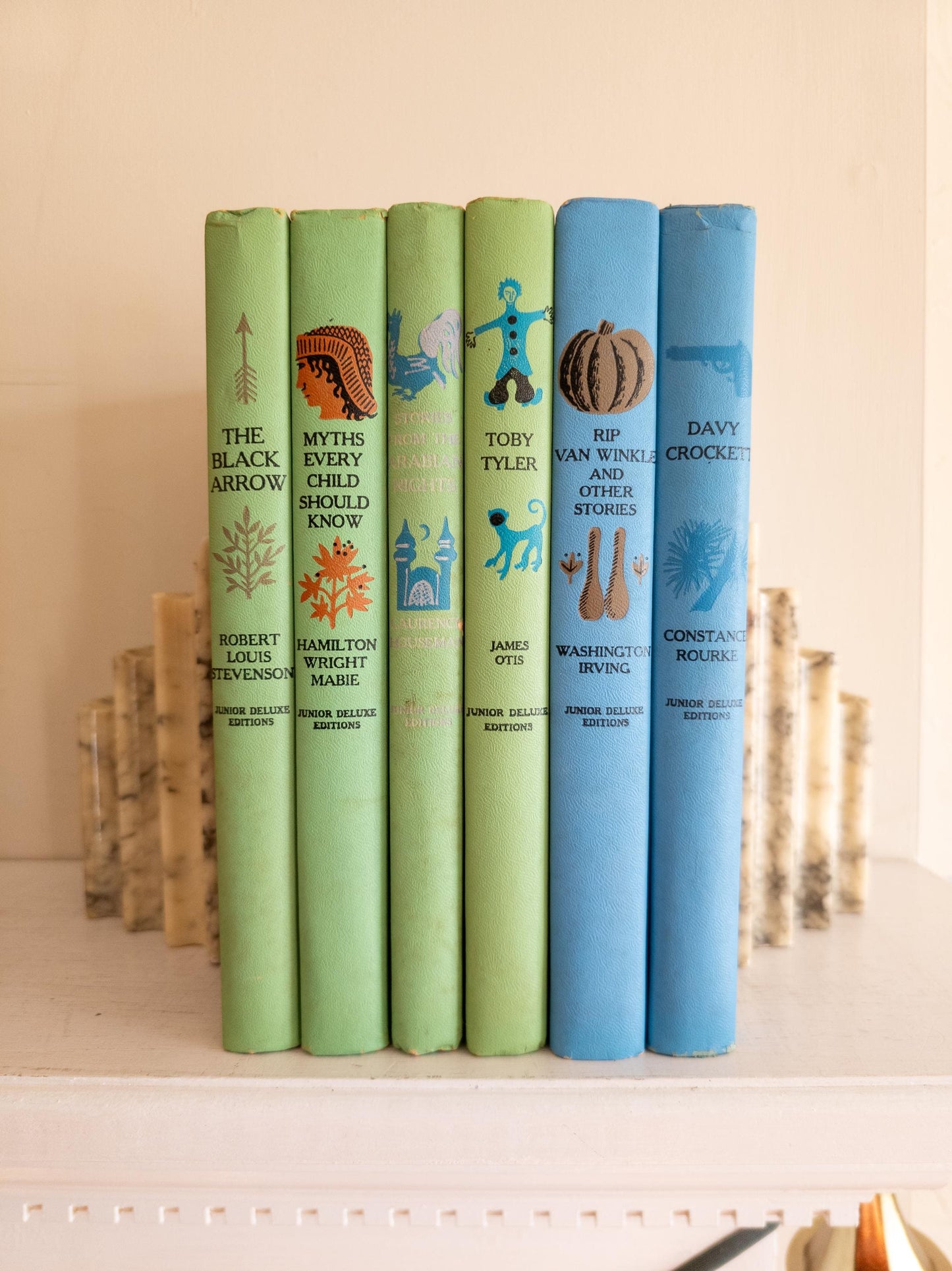 Junior Deluxe Library (Set of 6)