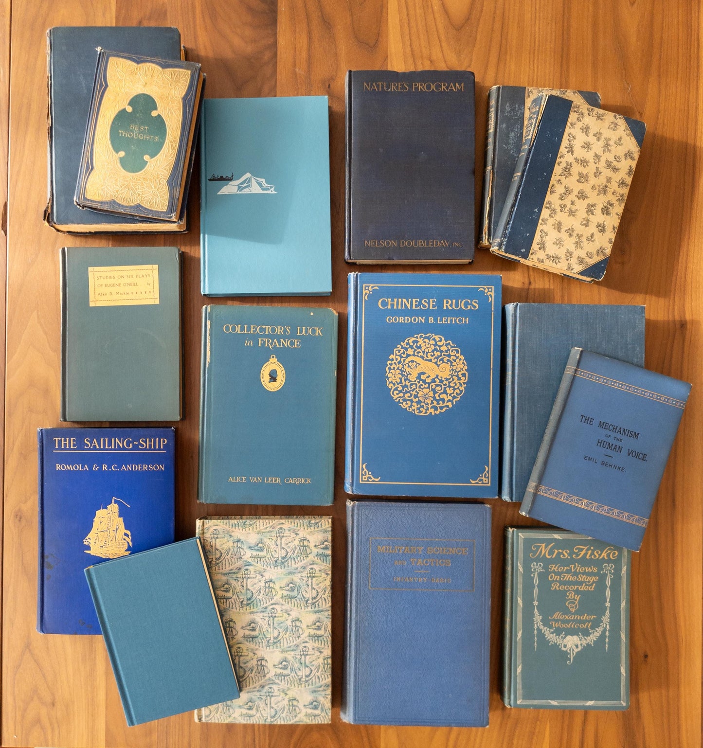 Vintage faded & worn hardcover books (Set of 16)- Blues
