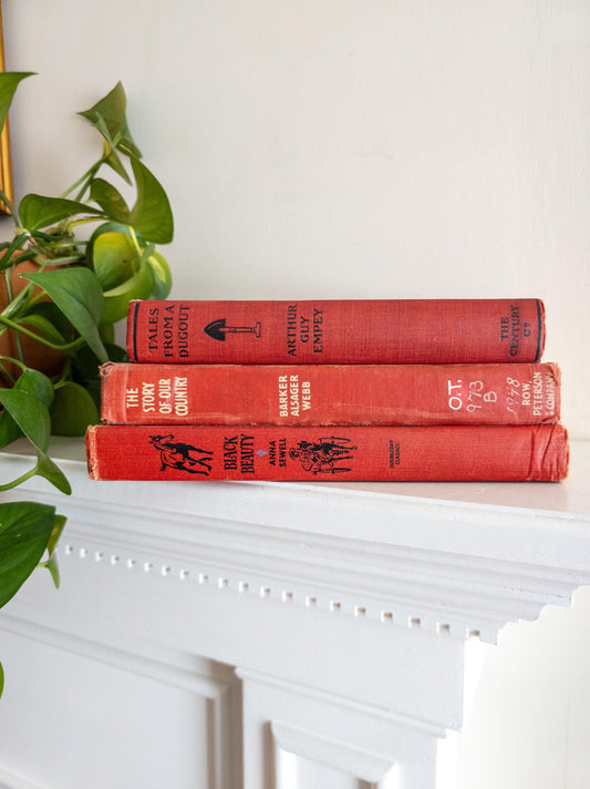 Vintage Children's Book Bundle