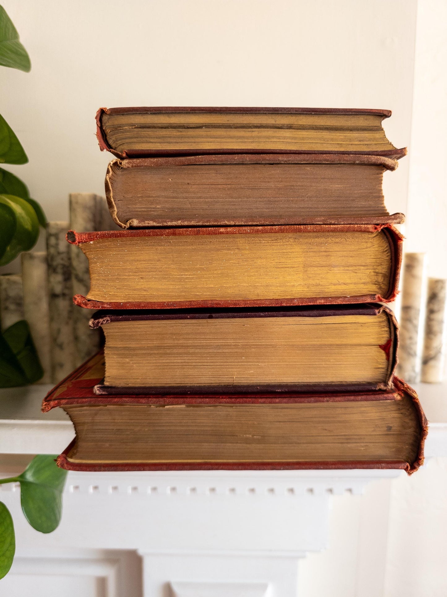 Red Antique Book Bundle (Set of 5)