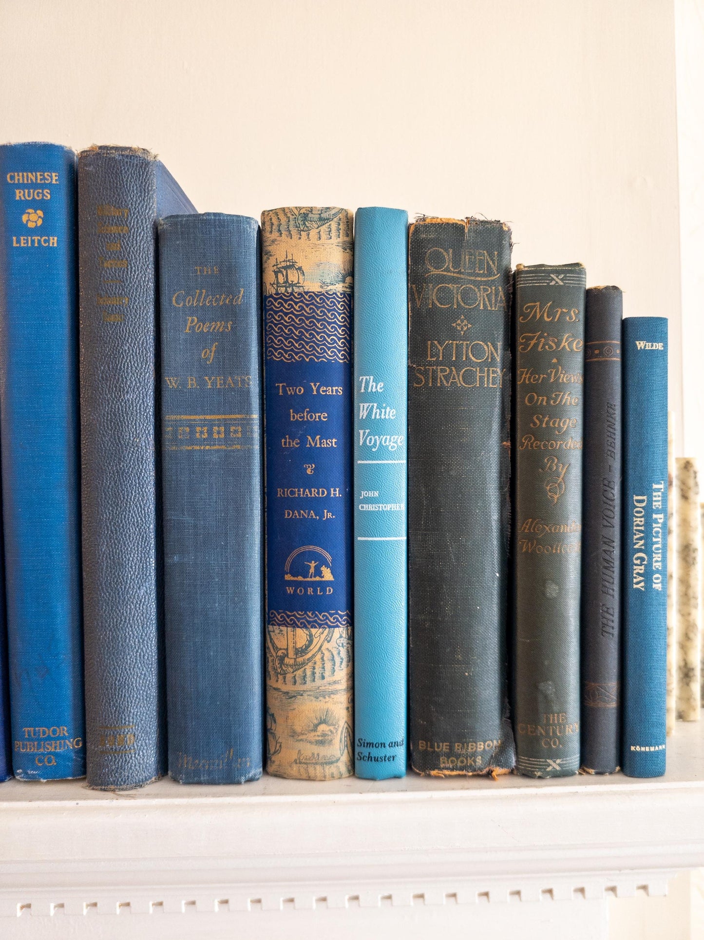 Vintage faded & worn hardcover books (Set of 16)- Blues