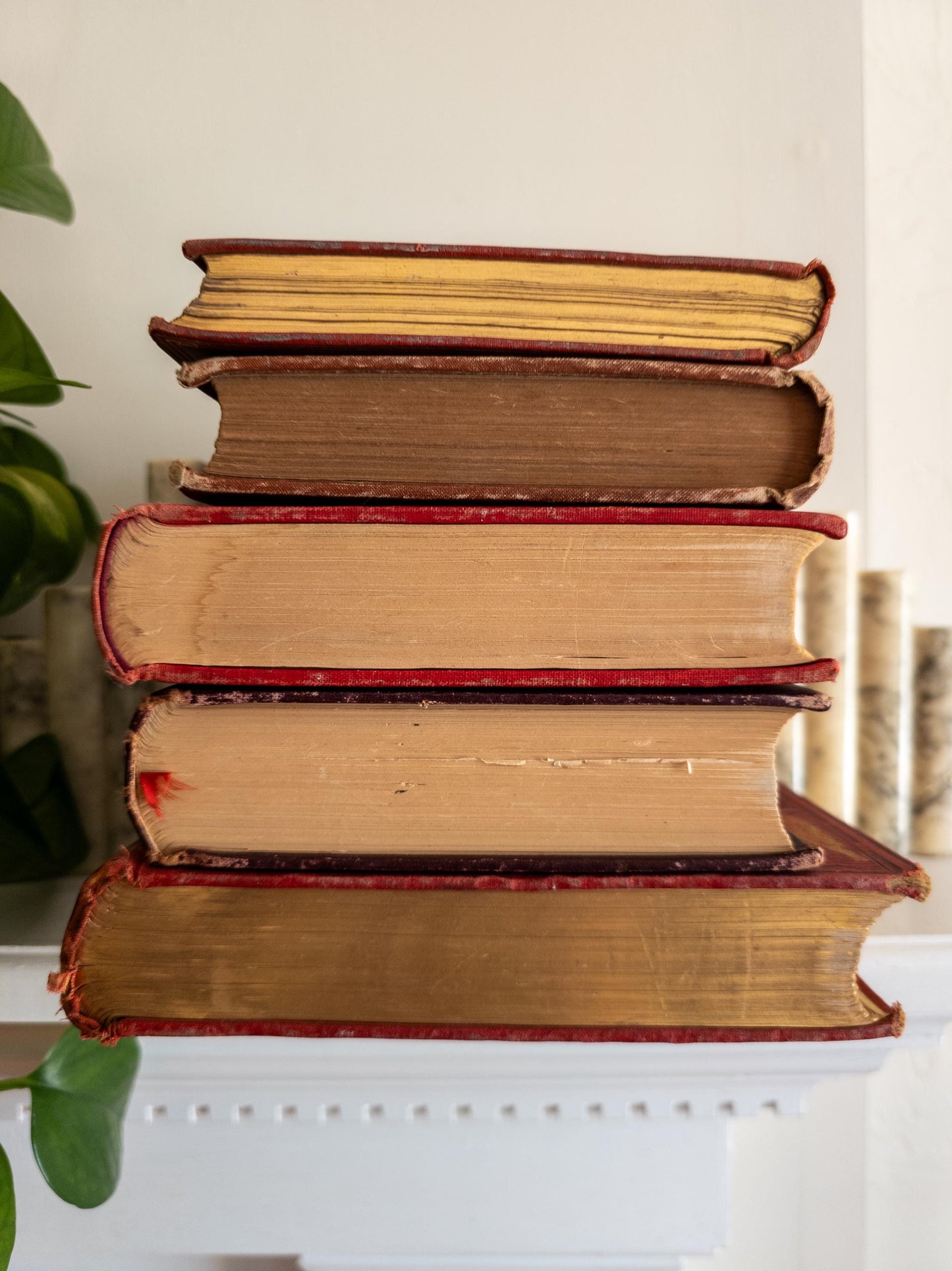 Red Antique Book Bundle (Set of 5)