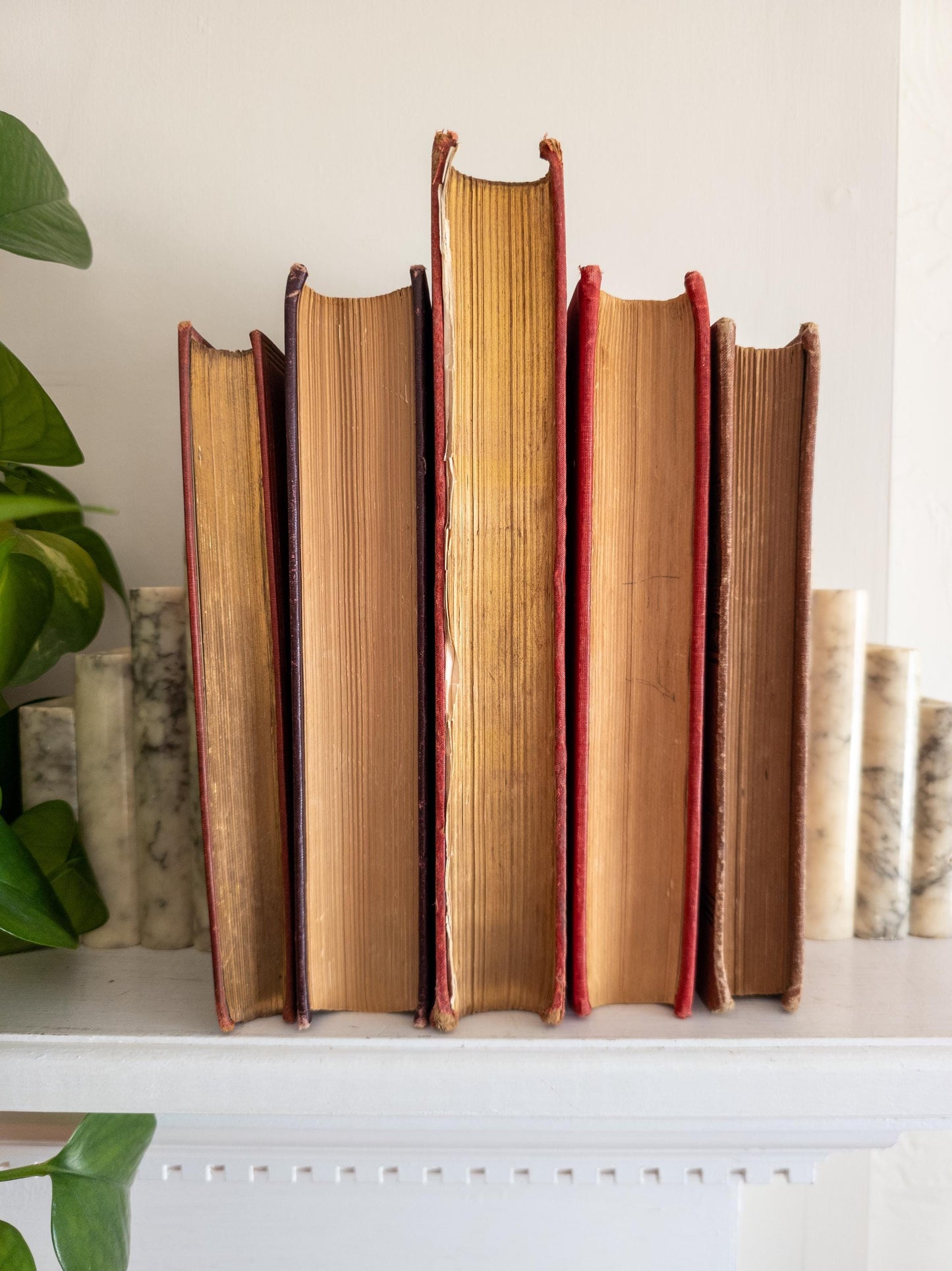 Red Antique Book Bundle (Set of 5)