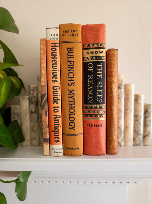 Orange Vintage Book Bundle