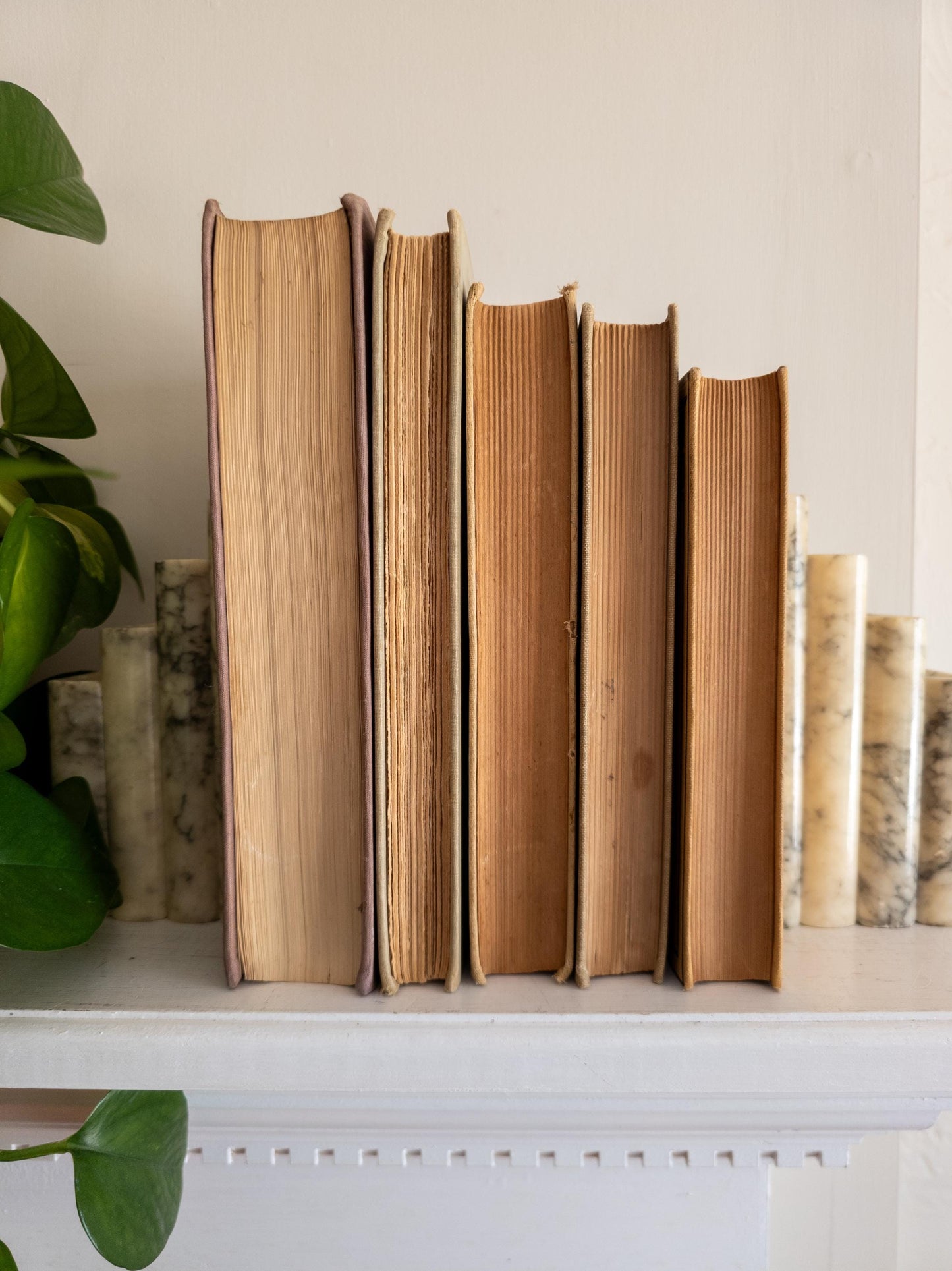 Vintage tan red & black vintage books