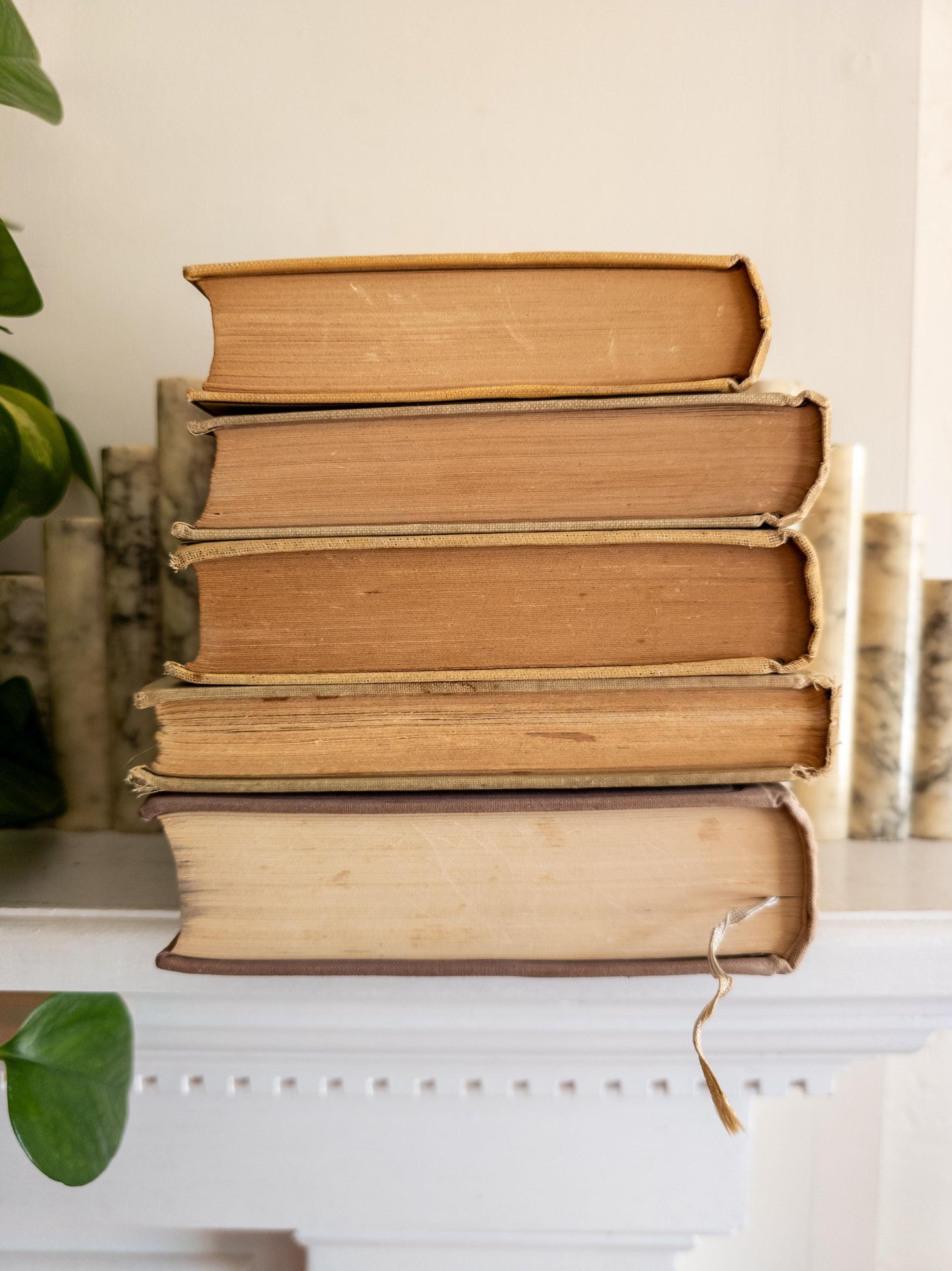 Vintage tan red & black vintage books