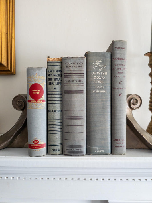 Gray Vintage Books (Set of 5)