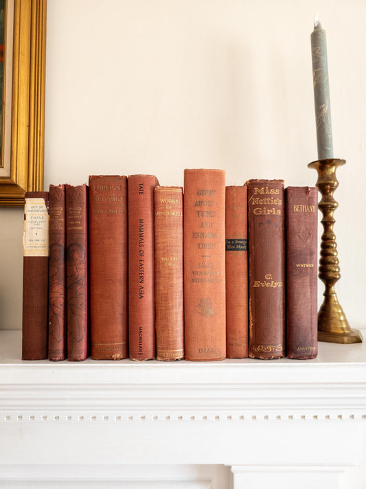 Vintage faded & worn hardcover books (Set of 10)- Light red