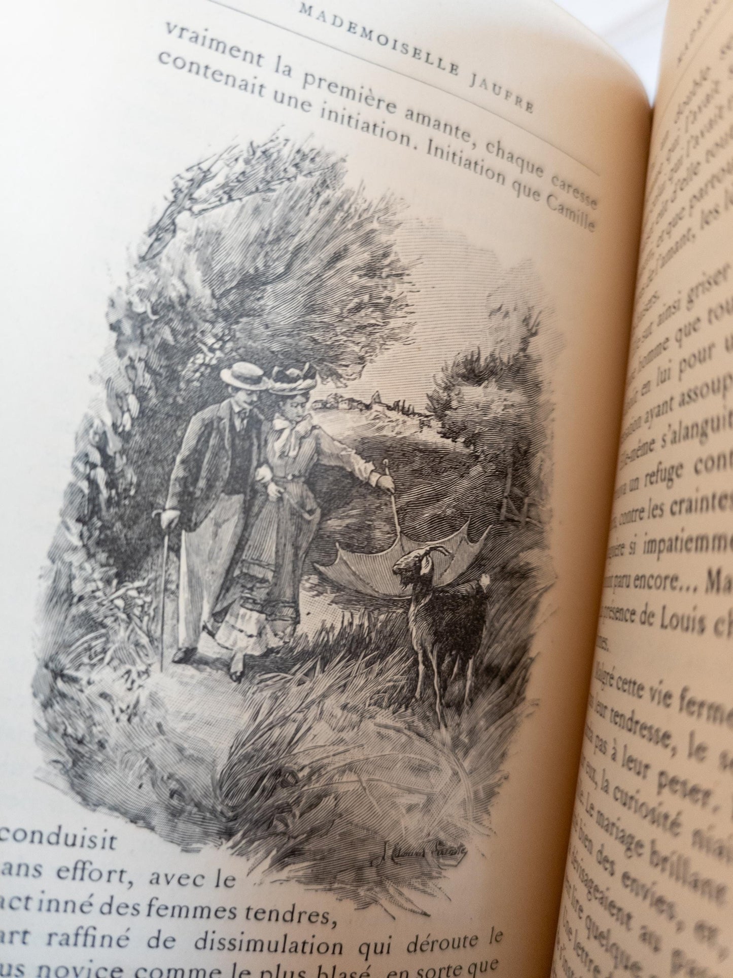 Marcel Prevost Novels - antique leatherbound books