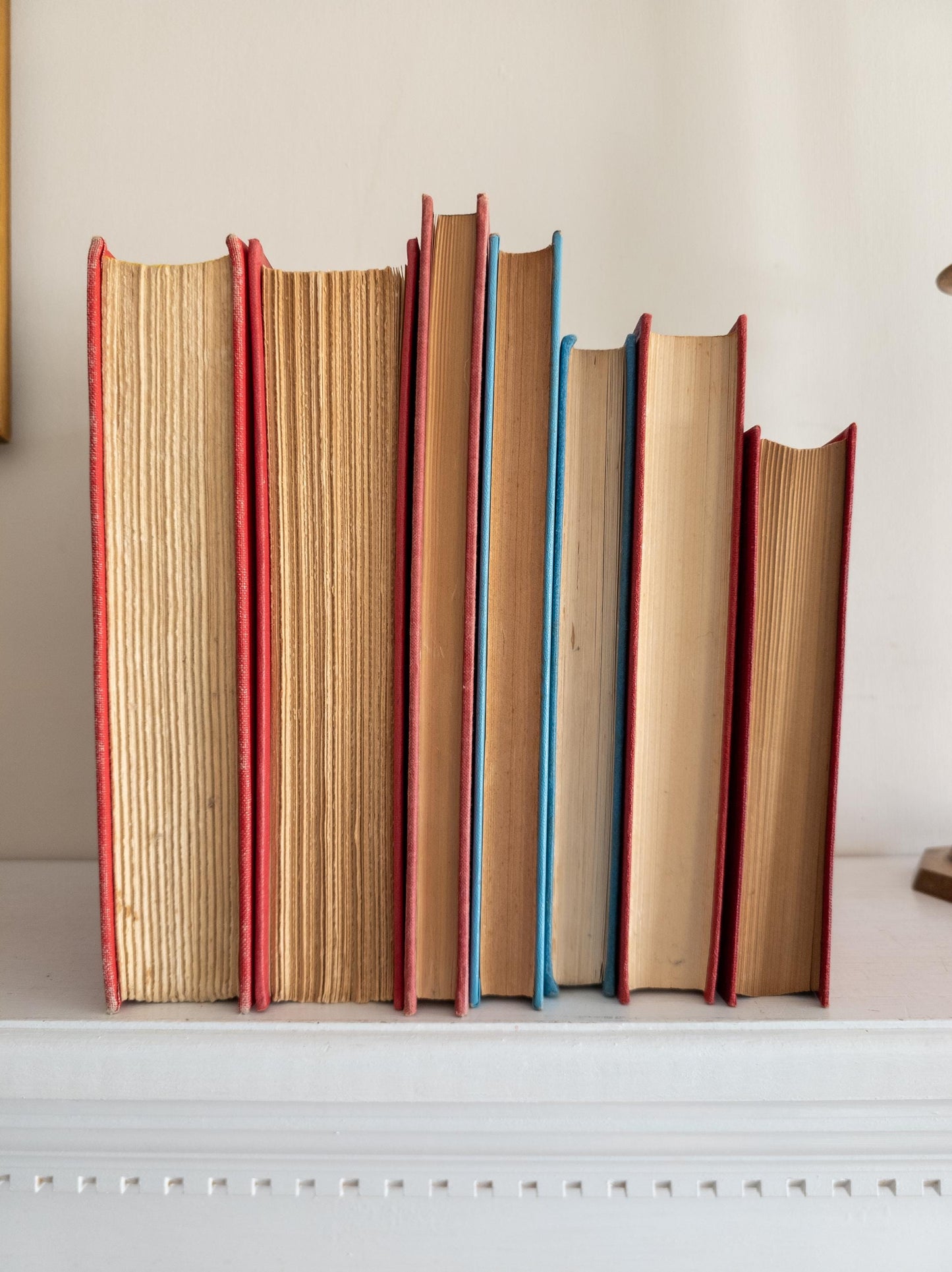 Red and blue Vintage Book Bundle