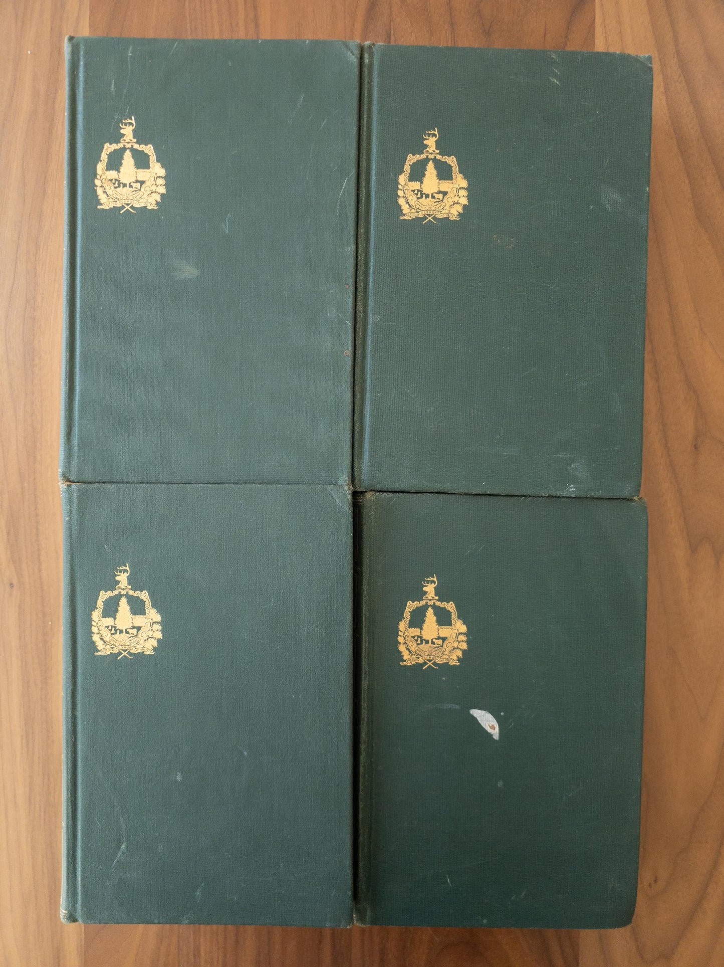 The History of Vermont 1921 | antique US history books