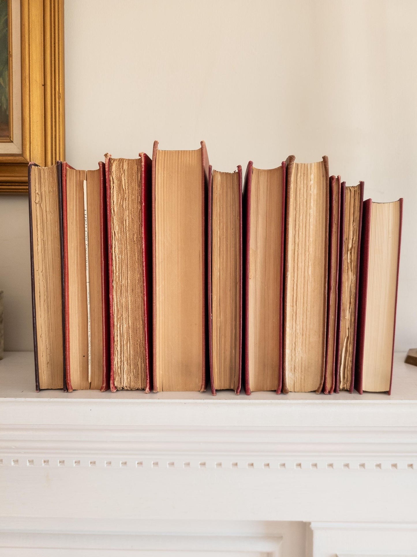 Vintage faded & worn hardcover books (Set of 10)- Light red