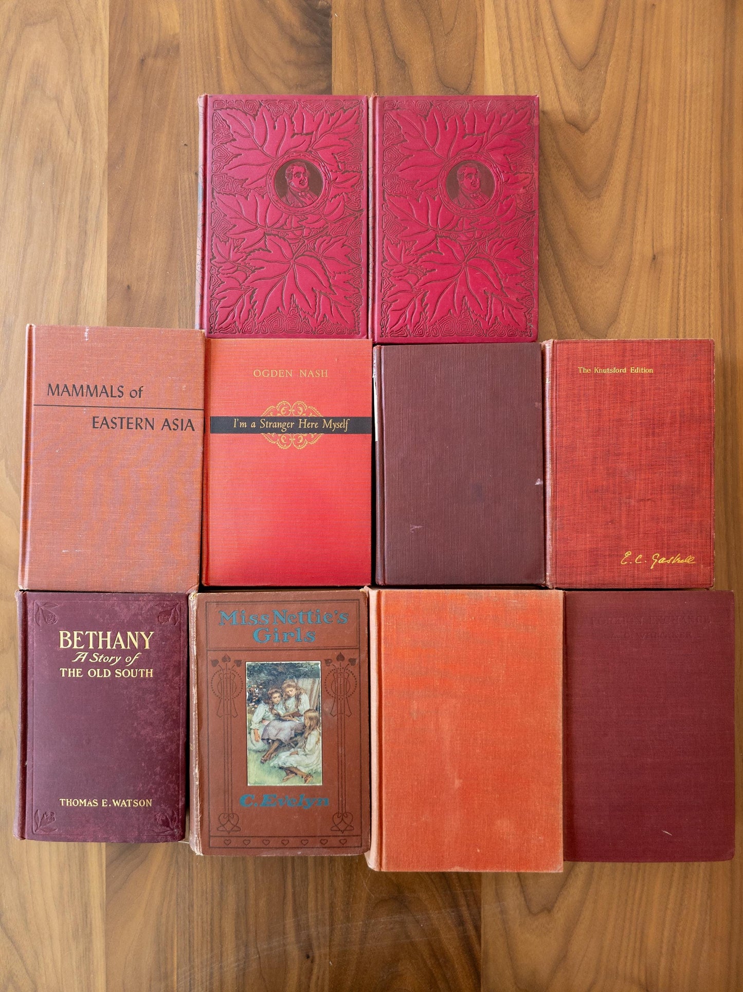 Vintage faded & worn hardcover books (Set of 10)- Light red