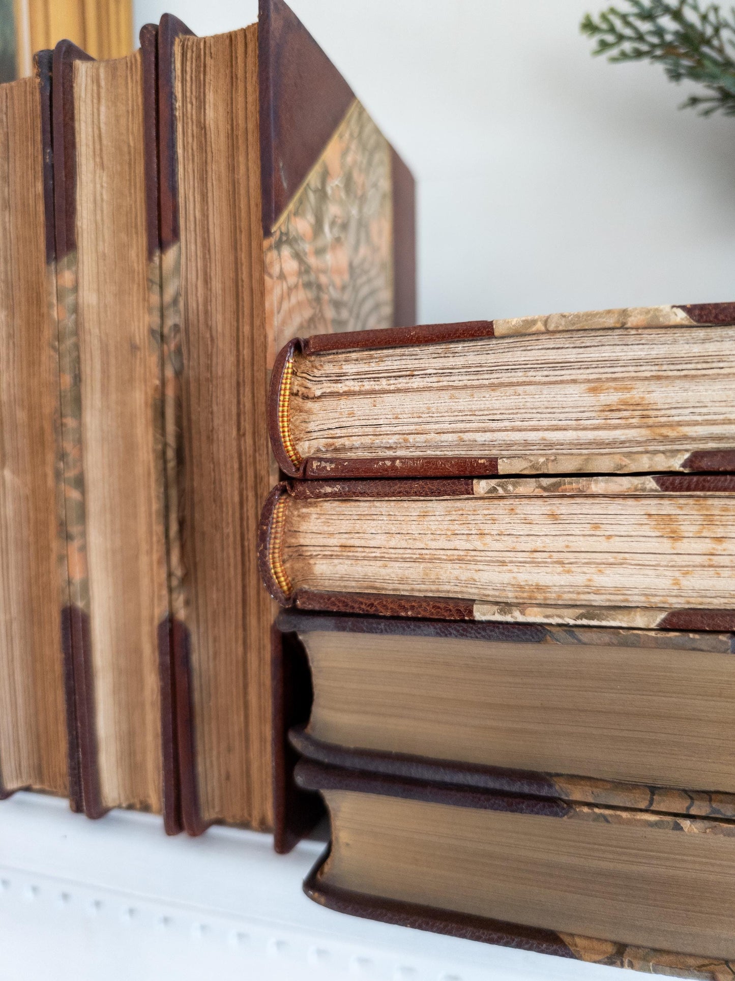 Marcel Prevost Novels - antique leatherbound books