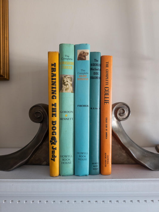 Vintage Dog Books - Colorful Home Decor
