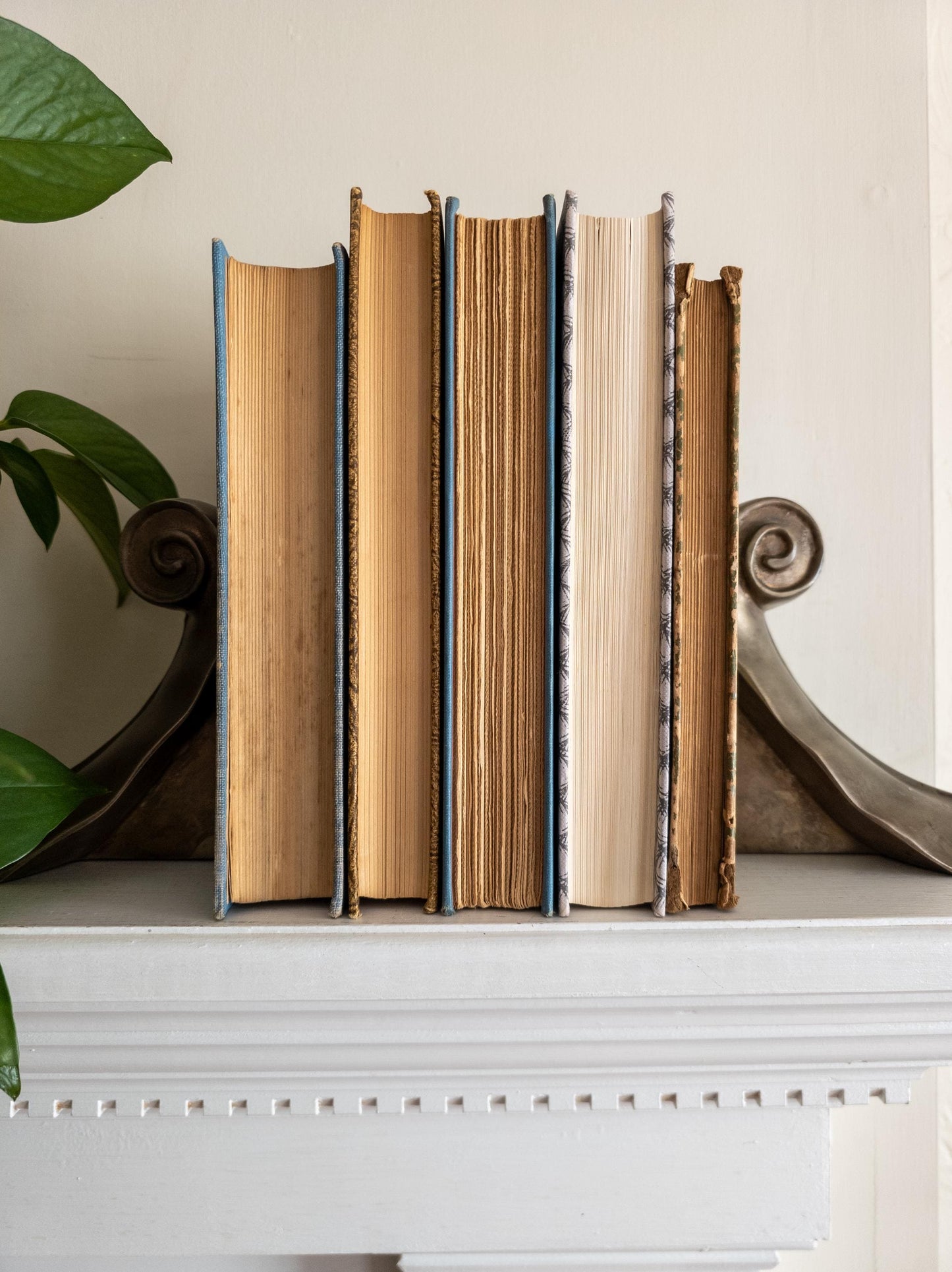Blue vintage book bundle