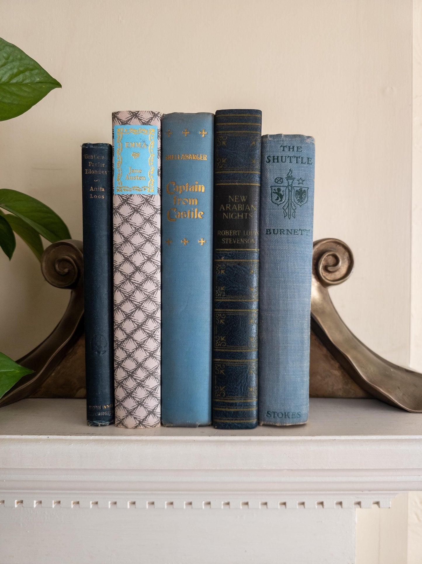 Blue vintage book bundle