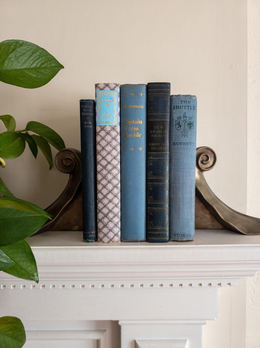 Blue vintage book bundle