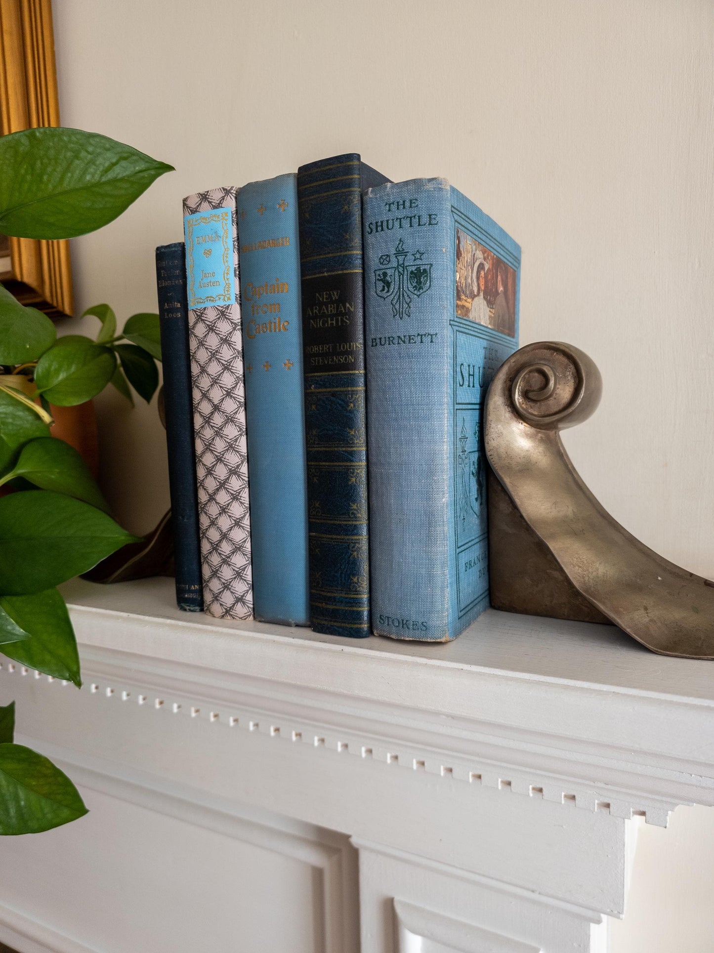 Blue vintage book bundle