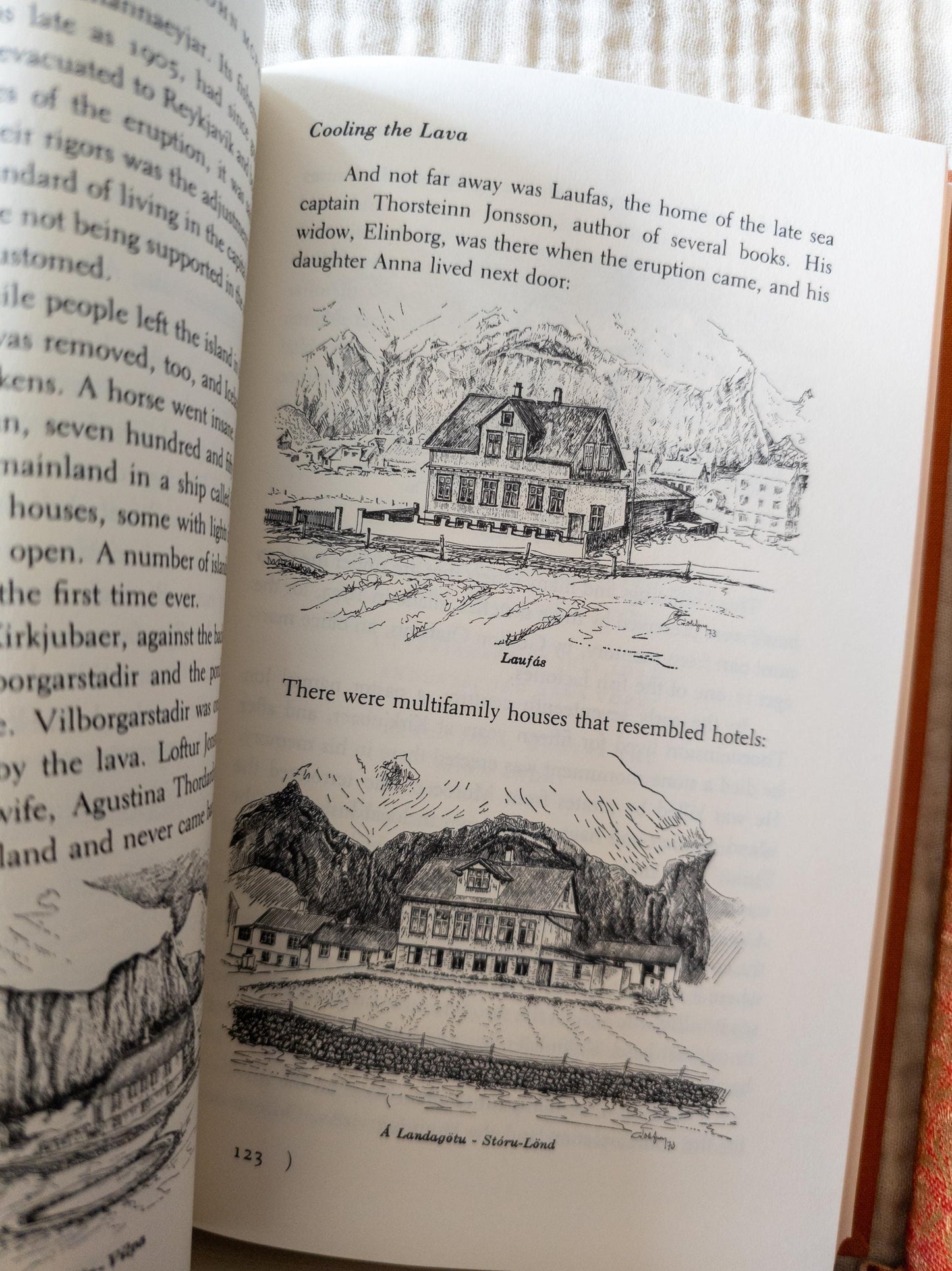 Vintage Light Red Books